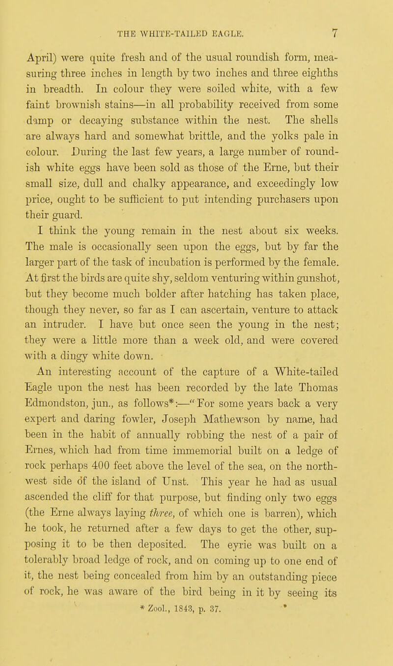 April) were quite fresh and of the usual roundish form, mea- suring three inches in length by two inches and three eighths in breadth. In colour they were soiled wliite, with a few faint brownish stains—in all probability received from some damp or decaying substance within the nest. The shells are always hard and somewhat brittle, and the yolks pale in colour. During the last few years, a large number of round- ish white eggs have been sold as those of the Erne, but their small size, duU and chalky appearance, and exceedingly low price, ought to be sufiicient to put intending purchasers upon their guard. I think the young remain in the nest about six weeks. The male is occasionally seen upon the eggs, but by far the larger part of the task of incubation is perfoiTned by the female. At first the birds are quite shy, seldom venturing within gunshot, but they become much bolder after hatching has taken place, though they never, so far as I can ascertain, venture to attack an intruder. I have but once seen the young in the nest; they were a little more than a week old, and were covered with a dingy white down. An interesting account of the capture of a White-tailed Eagle upon the nest has been recorded by the late Thomas Edmondston, jun., as follows*:—For some years back a very expert and daring fowler, Joseph Mathe-w'son by name, had been in the habit of annually robbing the nest of a pair of Ernes, which had from time immemorial built on a ledge of rock perhaps 400 feet above the level of the sea, on the north- west side of the island of Unst. This year he had as usual ascended the cliff for that purpose, but finding only two eggs (the Erne always laying three, of which one is barren), which he took, he returned after a few days to get the other, sup- posing it to be then deposited. The eyiie was built on a tolerably broad ledge of rock, and on coming up to one end of it, the nest being concealed from him by an outstanding piece of rock, he was aware of the bird being in it by seeing its * ZooL, 1843, p. 37. '