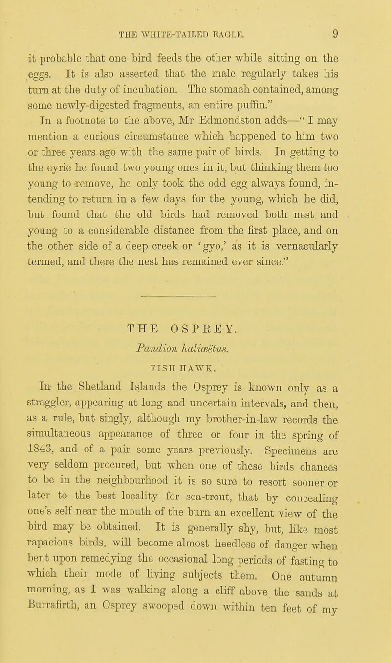 it probable that one bird feeds the other while sitting on the eggs. It is also asserted that the male regularly takes his turn at the duty of incubation. The stomach contained, among some newly-digested fragments, an entire puf&n. In a footnote to the above, Mr Edmondston adds— I may mention a curious circumstance which happened to him two or three years ago with the same pair of birds. In getting to the eyrie he found two young ones in it, but thinking them too young to -remove, he only took the odd egg always found, in- tending to return in a few days for the young, which he did, but found that the old birds had removed both nest and young to a considerable distance from the first place, and on the other side of a deep creek or 'gyo,' as it is vernacularly termed, and there the nest has remained ever since. THE OSPREY. Pandion haliceHtus. FISH HAWK. In- the Shetland Islands the Osprey is known only as a straggler, appearing at long and uncertain intervals, and then, as a rule, but singly, although my brother-in-law records the simultaneoas appearance of three or four in the spring of 1843, and of a pair some years previously. Specimens are very seldom procured, but when one of these birds chances to be in the neighbourhood it is so sure to resort sooner or later to the best locality for sea-trout, that by concealing one's self near the mouth of the burn an excellent view of the bird may be obtained. It is generally shy, but, like mOst rapacious birds, wiU become almost heedless of danger when bent upon remedying the occasional long periods of fasting to which their mode of living subjects them. One autumn morning, as I was walking along a cliff above the sands at Burrafirth, an Osprey swooped down within ten feet of mv