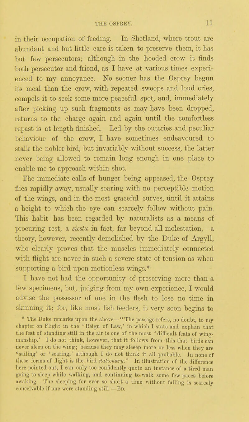 ill their occupation of feeding. In Shetland, where trout are abundant and but Little care is taken to preserve them, it has but few persecutors; although in the hooded crow it finds both persecutor and friend, as I have at various times experi- enced to my annoyance. IsTo sooner has the Osprey begun its meal than the crow, with repeated swoops and loud cries, compels it to seek some more peaceful spot, and, immediately after picking up such fragments as may have been dropped, returns to the charge again and again until the comfortless repast is at length finished. Led by the outcries and peculiar behaviour of the crow, I have sometimes endeavoured to stalk the nobler bird, but invariably without success, the latter never being allowed to remain long enough in one place to enable me to approach within shot. The immediate calls of hunger being appeased, the Osprey flies rapidly away, usually soaring with no perceptible motion of the wings, and in the most graceful curves, until it attains a height to which the eye can scarcely follow without pain. This habit has been regarded by naturalists as a means of procuring rest, a siesta in fact, far beyond all molestation,—a theory, however, recently demolished by the Duke of Argyll, who clearly proves that the muscles immediately connected with flight are never in such a severe state of tension as when supporting a bird upon motionless wings.* I have not had the opportunity of preserving more than a few specimens, but, judging from my own experience, I would advise the possessor of one in the flesh to lose no time in skinning it; for, like most fish feeders, it very soon begins to * The Duke remarks upon the above— The passage refers, no doubt, to niy chapter on Flight in the ' Reign of Law,' in which I state and explain that the feat of standing still in the air is one of the most ' difficult feats of wing- uianship.' I do not think, however, that it follows from this tliat birds can never sleep on the wing; because they ruay sleeep more or less when they are •sailing' or 'soaring,' although I do not think it all probable. Jn none of these forms of flight is the bird stationary. In illustration of the diflerenco here pointed out, I can only too confidently quote an instance of a tired man going to sleep while walking, and continuing to walk some few paces before awaking. The sleeping for ever so short a time without falling is scarcely conceivable if one were standing still —En.