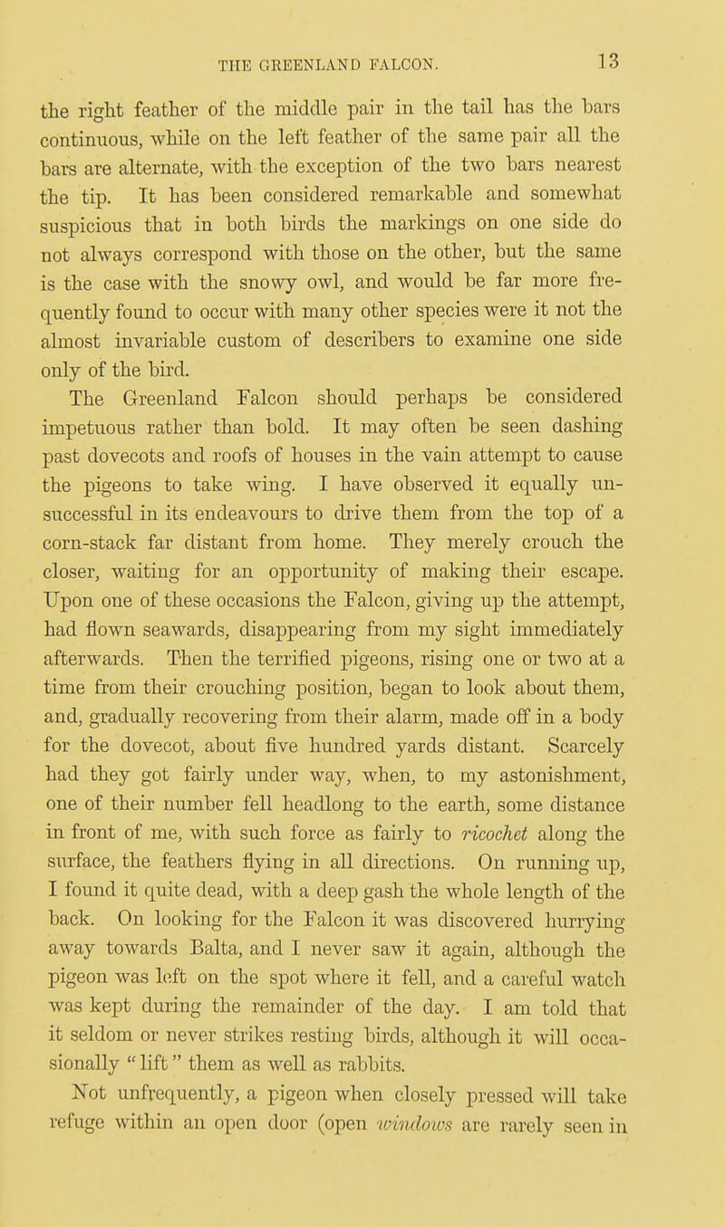 the right feather of the middle pair in the tail has the bars continuous, while on the left feather of the same pair all the bars are alternate, with the exception of the two bars nearest the tip. It has been considered remarkable and somewhat suspicious that in both birds the markings on one side do not always correspond with those on the other, but the same is the case with the snowy owl, and would be far more fre- quently found to occur with many other species were it not the almost invariable custom of describers to examine one side only of the bird. The Greenland Falcon should perhaps be considered impetuous rather than bold. It may often be seen dashing past dovecots and roofs of houses in the vain attempt to cause the pigeons to take wing. I have observed it equally im- successful in its endeavours to drive them from the top of a corn-stack far distant from home. They merely crouch the closer, waiting for an opportunity of making their escape. Upon one of these occasions the Falcon, giving up the attempt, had flown seawards, disappearing from my sight immediately afterwards. Then the terrified pigeons, rising one or two at a time from their crouching position, began to look about them, and, gradually recovering from their alarm, made off in a body for the dovecot, about five hundred yards distant. Scarcely had they got fairly under way, when, to my astonishment, one of their number fell headlong to the earth, some distance in front of me, with such force as fairly to ricochet along the surface, the feathers flying in aU directions. On running up, I found it quite dead, with a deep gash the whole length of the back. On looking for the Falcon it was discovered hurrying away towards Balta, and I never saw it again, although the pigeon was left on the spot where it fell, and a careful watch was kept during the remainder of the day. I am told that it seldom or never strikes resting birds, although it will occa- sionally lift them as well as rabbits. Not unfvequently, a pigeon when closely pressed will take refuge within an open door (open 'loiiulows are rarely seen in