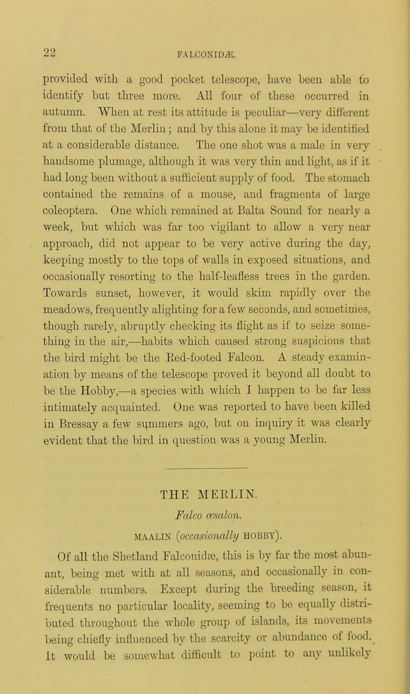 provided with a good pocket telescope, have been able to identify but three more. All four of these occurred in autumn. When at rest its attitude is peculiar—very different from that of the Merlin; and by this alone it may be identified at a considerable distance. The one shot was a male in very handsome plumage, although it was very thin and light, as if it had long been without a sufiicient supply of food. The stomach contained the remains of a mouse, and fragments of large coleoptera. One which remained at Balta Sound for nearly a week, but which was far too vigilant to allow a very near approach, did not appear to be very active during the day, keeping mostly to the tops of walls in exposed situations, and occasionally resorting to the half-leafless trees in the garden. Towards sunset, however, it would skim rapidly over the meadows, frequently alighting for a few seconds, and sometimes, though rarely, abruptly checking its flight as if to seize some- thing in the air,—habits which caused strong suspicions that the bird might be the Eed-footed Falcon. A steady examin- ation by means of the telescope proved it beyond all doubt to be the Hobby,—a species with which I happen to be far less intimately acquainted. One was reported to have been killed in Bressay a few summers ago, but on inquiry it was clearly evident that the bird in question was a young Merlin. THE MERLIN. Falco cBsalon. MAALIN {occasionally hobby). Of all the Shetland Falconidre, this is by far the most abuu- ant, being met with at all seasons, and occasionally in con- siderable numbers. Except during the breeding season, it frequents no particular locality, seeming to be equally distri- buted throughout the whole group of islands, its movements being chiefly influenced by the scarcity or abundance of food, it would be somewhat difficult to point to any unlikely