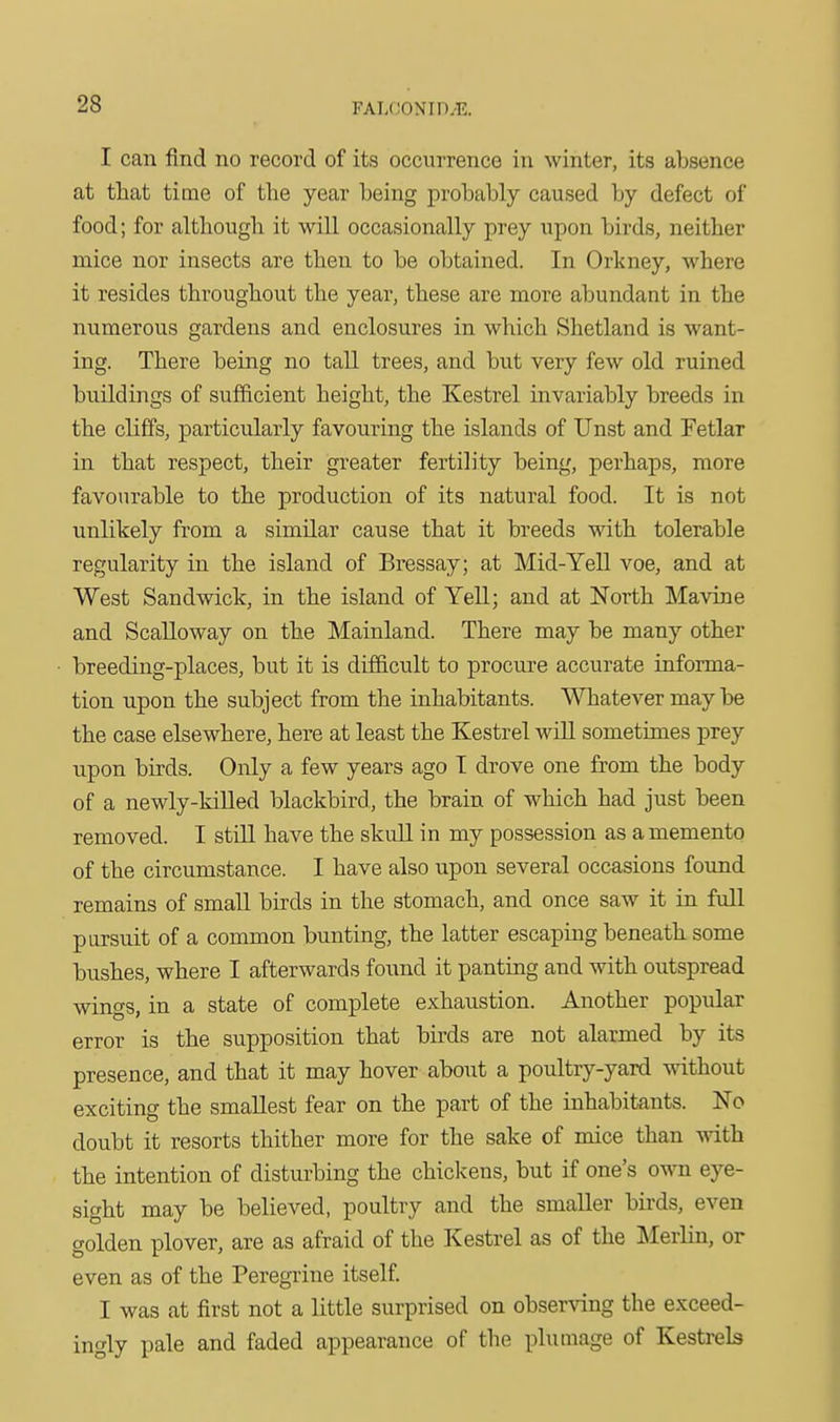 I can find no record of its occurrence in winter, its absence at that time of tlie year being probably caused by defect of food; for although it will occasionally prey upon birds, neither mice nor insects are then to be obtained. In Orkney, where it resides throughout the year, these are more abundant in the numerous gardens and enclosures in which Shetland is want- ing. There being no tall trees, and but very few old ruined buildings of sufficient height, the Kestrel invariably breeds in the cliffs, particularly favouring the islands of Unst and Fetlar in that respect, their greater fertility being, perhaps, more favourable to the production of its natural food. It is not unlikely from a similar cause that it breeds with tolerable regularity in the island of Bressay; at Mid-Yell voe, and at West Sandwick, in the island of Yell; and at North Ma vine and Scalloway on the Mainland. There may be many other breeding-places, but it is difficult to procure accurate informa- tion upon the subject from the inhabitants. Whatever maybe the case elsewhere, here at least the Kestrel wiU sometimes prey upon birds. Only a few years ago I drove one from the body of a newly-killed blackbird, the brain of which had just been removed. I stiU have the skull in my possession as a memento of the circumstance. I have also upon several occasions foimd remains of small birds in the stomach, and once saw it in full pursuit of a common bunting, the latter escaping beneath some bushes, where I afterwards found it panting and with outspread wings, in a state of complete exhaustion. Another popular error is the supposition that birds are not alarmed by its presence, and that it may hover aboiit a poultry-yard without exciting the smallest fear on the part of the inhabitants. No doubt it resorts thither more for the sake of mice than with the intention of disturbing the chickens, but if one's own eye- sight may be believed, poultry and the smaller birds, even golden plover, are as afraid of the Kestrel as of the Merlin, or even as of the Peregrine itself I was at first not a little surprised on obser^^ng the exceed- ingly pale and faded appearance of the plumage of Kestrels