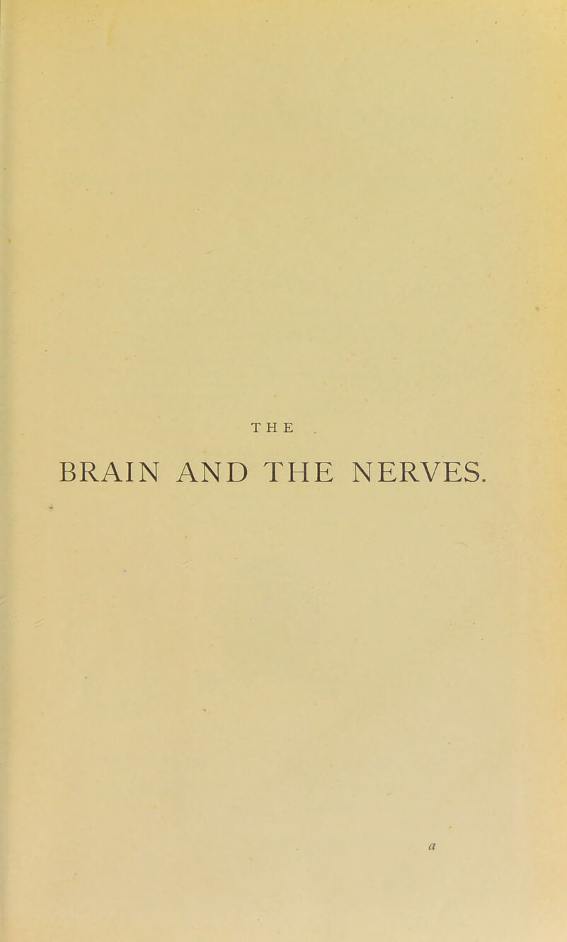 THE BRAIN AND THE NERVES.