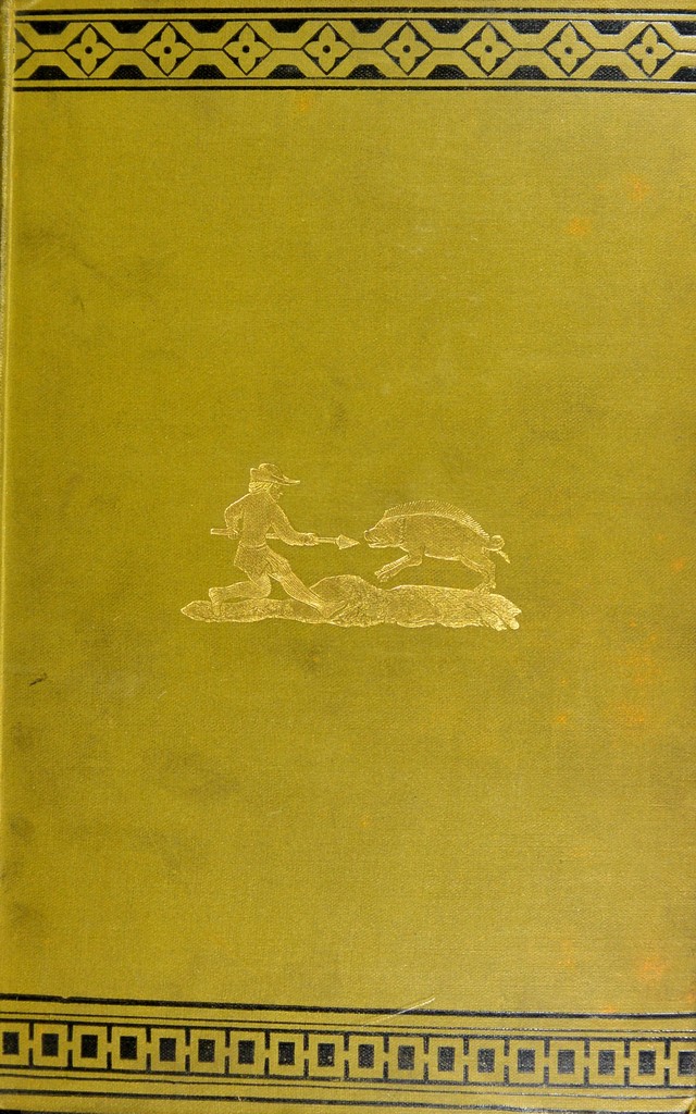 No text description is available for this image