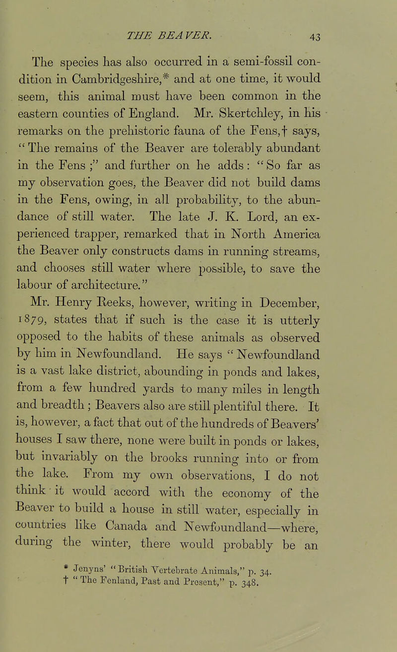 The species has also occurred in a semi-fossil con- dition in Cambridgeshire,'^' and at one time, it would seem, this animal must have been common in the eastern counties of England. Mr. Skertcliley, in his remarks on the prehistoric fauna of the Fens,t says,  The remains of the Beaver are tolerably abundant in the Fens and further on he adds: So far as my observation goes, the Beaver did not build dams in the Fens, owing, in all probability, to the abun- dance of still water. The late J. K. Lord, an ex- perienced trapper, remarked that in North America the Beaver only constructs dams in running streams, and chooses still water where possible, to save the labour of architecture. Mr. Henry Beeks, however, writing in December, 1879, states that if such is the case it is utterly opposed to the habits of these animals as observed by him in Newfoundland. He says  Newfoundland is a vast lake district, abounding in ponds and lakes, from a few hundred yards to many miles in length and breadth; Beavers also are still plentiful there. It is, however, a fact that out of the hundreds of Beavers' houses I saw there, none were built in ponds or lakes, but invariably on the brooks running into or from the lake. From my own observations, I do not think it would accord with the economy of the Beaver to build a house in still water, especially in countries like Canada and Newfoundland—where, during the winter, there would probably be an * Jenyns' British Yertebrate Animals, p. 34. t  The Fcnland, Past and Present, p. 348.