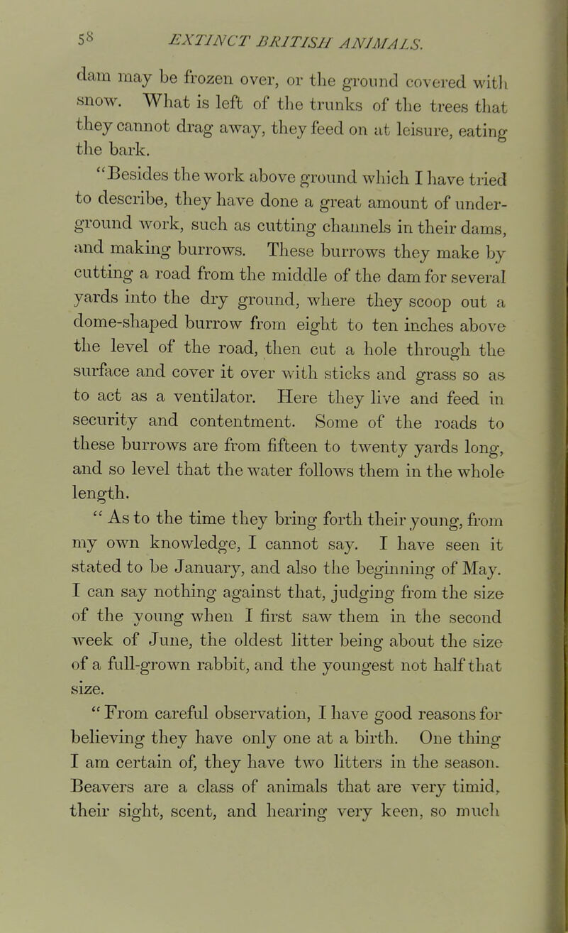 dam may be frozen over, or the ground covered with snow. What is left of the trunks of the trees that they cannot drag aw\ay, they feed on at leisure, eating the bark. ''Besides the work above ground which I have tried to describe, they ha,ve done a great amount of under- ground work, such as cutting channels in their dams, and making burrows. These burrows they make by cutting a road from the middle of the dam for several yards into the dry ground, where they scoop out a dome-shaped burrow from eight to ten inches above the level of the road, then cut a hole through the surface and cover it over with sticks and grass so as to act as a ventilator. Here they live and feed in security and contentment. Some of the roads to these burrows are from fifteen to twenty yards long, and so level that the water follows them in the whole length.  As to the time they bring forth their young, from my own knowledge, I cannot say. I have seen it stated to be January, and also the beginning of May. I can say nothing against that, judging from the size of the young when I first saw them in the second week of June, the oldest litter being about the size of a full-grown rabbit, and the youngest not half that size.  From careful observation, I have good reasons for believing they have only one at a birth. One thing I am certain of, they have two litters in the season. Beavers are a class of animals that are very timid, their sight, scent, and hearing very keen, so much