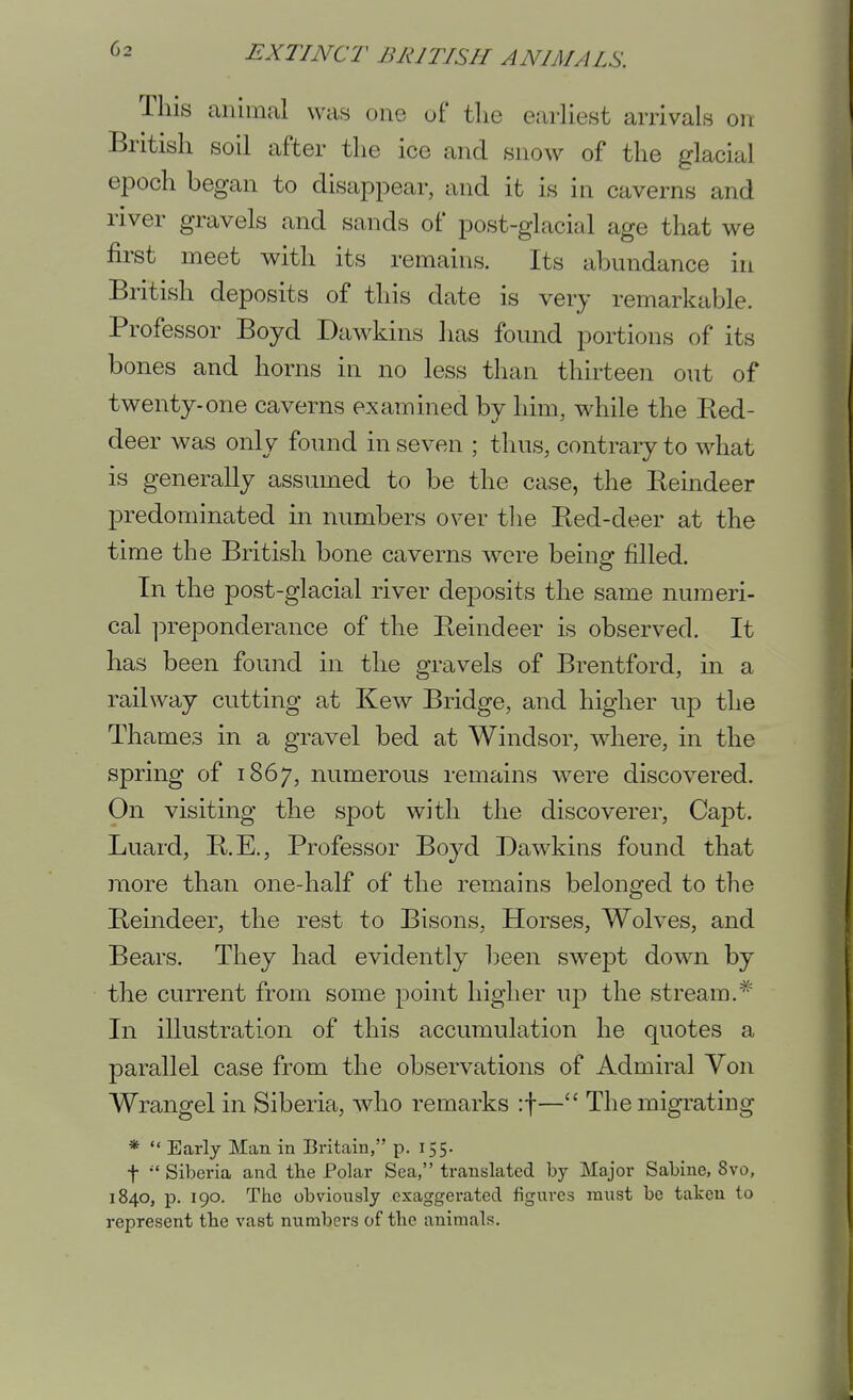 This animal was one of tlie earliest arrivals on British soil after the ice and snow of the glacial epoch began to disappear, and it is in caverns and river gravels and sands of post-glacial age that we first meet with its remains. Its abundance in British deposits of this date is very remarkable. Professor Boyd Dawkins has found portions of its bones and horns in no less than thirteen out of twenty-one caverns examined by him, while the Pied- deer was only found in seven ; thus, contrary to what is generally assumed to be the case, the Reindeer predominated m numbers over tlie Red-deer at the time the British bone caverns were being filled. In the post-glacial river deposits the same numeri- cal ])reponderance of the Reindeer is observed. It has been found in the gravels of Brentford, in a railway cutting at Kew Bridge, and higher up the Thames in a gravel bed at Windsor, where, in the spring of 1867, numerous remains were discovered. On visiting the spot with the discoverer, Capt. Luard, R.E., Professor Boyd Dawkins found that more than one-half of the remains belonged to the Reindeer, the rest to Bisons, Horses, Wolves, and Bears. They had evidently iDcen swept down by the current from some point higher up the stream.* In illustration of this accumulation he quotes a parallel case from the observations of Admiral Yon Wrangel in Siberia, who remarks :t— The migrating *  Early Man in Britain, p. 155. t  Siberia and the Polar Sea, translated by Major Sabine, 8vo, 1840, p. 190. The obviously exaggerated figures must be taken to represent the vast numbers of the animals.