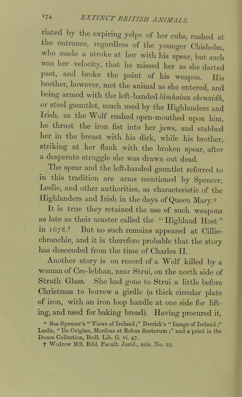 riated by the expiring yelps of her cubs, rushed at the entrance, regardless of the younger Chisholra, who made a stroke at her with his spear, but such was her velocity, that he missed her as she darted past, and broke the point of his weapon. His brother, however, met the animal as she entered, and being armed with the left-handed Idmliainn chruaidh, or steel gauntlet, much used by the Highlanders and Irish, as the Wolf rushed open-mouthed upon him, he thrust the iron fist into her jaws, and stabbed her in the breast with his dirk, while his brother, striking at her flank with the broken spear, after a desperate struggle she was drawn out dead. The spear and the left-handed gauntlet referred to in this tradition are arms mentioned, by Spencer, Leslie, and other authorities, as characteristic of the Highlanders and Irish in the days of Queen Mary.* It is true they retained the use of such weapons as late as their muster called the Highland Host  in 1678.1 But no such remains appeared at Cillie- chranchie, and it is therefore probable that the story has descended from the time of Charles II. Another story is on record of a Wolf killed by a woman of Cre-lebhan, near Strui, on the north side of Strath Glass. She had gone to Strui a little before Christmas to borrow a girdle (a thick circular plate of iron, with an iron loop handle at one side for lift- ing, and used for baking bread). Having procured it, * See Spencer's  Views of Ireland; Derrick's  Image of Ireland; Leslie,  De Origine, Moribus et Eebus Scotorum ; and a print in the Douce Collection, Bodl. Lib. G. vi. 47. t Wodrow MS. Bibl. Facult. Jurid., xcix. No. 29.