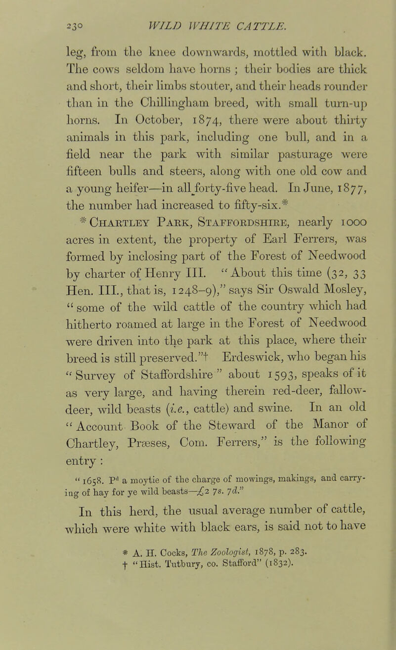 leg, from the knee downwards, mottled with black. The cows seldom hav-e horns ; their bodies are thick and short, their limbs stouter, and their heads rounder than in the Chillingham breed, with small turn-up horns. In October, 1874, there were about thirty animals in this park, including one bull, and in a field near the park with similar pasturage were fifteen bulls and steers, along with one old cow and a young heifer—in all/orty-five head. In June, 1877, the number had increased to fifty-six.* ''^Chartley Park, Staffordshire, nearly 1000 acres in extent, the pro]3erty of Earl Ferrers, was formed by inclosing part of the Forest of Needwood by charter of Henry III. About this time (32, 33 Hen. III., that is, 1248-9), says Sir Oswald Mosley,  some of the wild cattle of the country which had hitherto roamed at large in the Forest of Needwood were driven into the park at this place, where theh^ breed is still preserved, t Erdeswick, who began his Survey of Stafibrdshire  about 1593, speaks of it as very large, and having therein red-deer, fallow- deer, wild beasts cattle) and swine. In an old ''Account Book of the Steward of the Manor of Chartley, Prseses, Com. Ferrers, is the following entry :  1658. a moytie of the charge of mowings, makings, and carry- ing of hay for ye wild beasts—7s. ^d, In this herd, the usual average number of cattle, which were white with black ears, is said not to have * A. H. Cocks, The Zoologist, 1878, p. 283. t Hist. Tntbury, co. Stafford (1832).