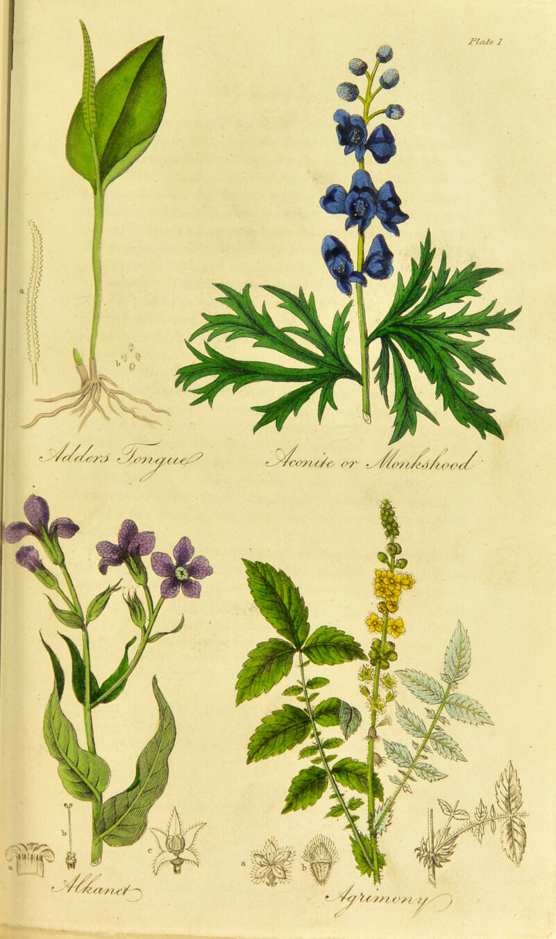 r ' / /<>/(>(>?/ tytoe/- WM/r? (>T ■ r/(>/t sr-thf/