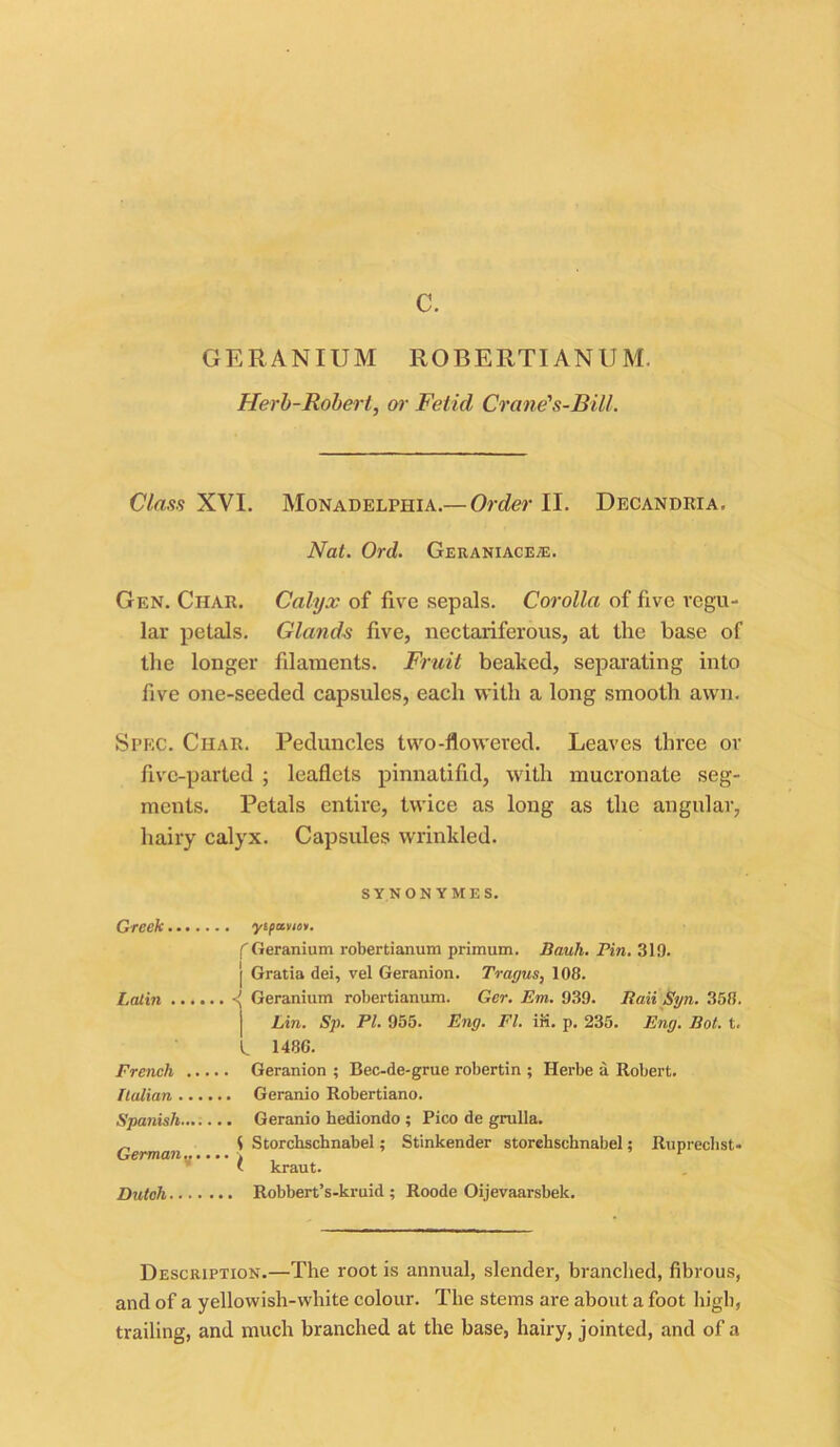 c. GERANIUM ROBERTIANUM. Herb-Robert, or Fetid Crane's-Bill. Class XVI. Monadelphia.— Order II. Decandria. Nat. Ord. Geraniacea:. Gen. Char. Calyx of five sepals. Corolla of five regu- lar petals. Glands five, nectariferous, at the base of the longer filaments. Fruit beaked, separating into five one-seeded capsules, each with a long smooth awn. Spec. Char. Peduncles two-flowered. Leaves three or five-parted ; leaflets pinnatifid, with mucronate seg- ments. Petals entire, twice as long as the angular, hairy calyx. Capsules wrinkled. SYNON YMES. Greek yipuvioi. f Geranium robertianum primum. Rauh. Pin. 319. j Gratia dei, vel Geranion. Tragus, 108. Latin Geranium robertianum. Ger. Em. 939. Rail Syn. 358. Lin. Sp. PL 955. Eng. El. in. p. 235. Eng. Rot. t. t. 1486. French Geranion ; Bec-de-grue robertin ; Herbe a Robert. Italian Geranio Robertiano. Spanish Geranio bediondo ; Pico de grulla. _ i Storchschnabel; Stinkender storchschnabel; Ruprechst* t kraut. Dutch Robbert’s-kruid ; Roode Oijevaarsbek. Description.—The root is annual, slender, branched, fibrous, and of a yellowish-white colour. The stems are about a foot high, trailing, and much branched at the base, hairy, jointed, and of a