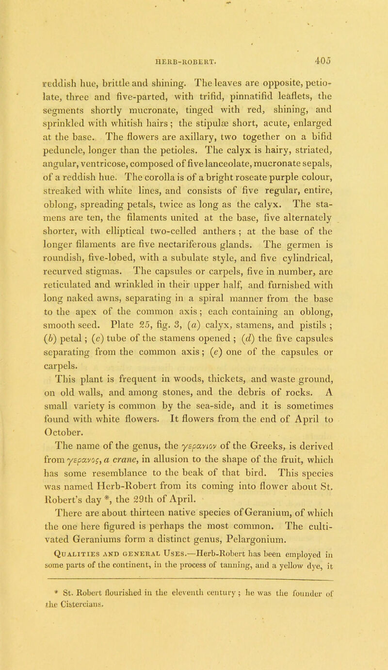 reddish hue, brittle and shining. The leaves are opposite, petio- late, three and five-parted, with trifid, pinnatifid leaflets, the segments shortly mucronate, tinged with red, shining, and sprinkled with whitish hairs; the stipulse short, acute, enlarged at the base. The flowers are axillary, two together on a bifid peduncle, longer than the petioles. The calyx is hairy, striated, angular, ventricose, composed of five lanceolate, mucronate sepals, of a reddish hue. The corolla is of a bright roseate purple colour, streaked with white lines, and consists of five regular, entire, oblong, spreading petals, twice as long as the calyx. The sta- mens are ten, the filaments united at the base, five alternately shorter, with elliptical two-celled anthers ; at the base of the longer filaments are five nectariferous glands. The germen is roundish, five-lobed, with a subulate style, and five cylindrical, recurved stigmas. The capsules or carpels, five in number, are reticulated and wrinkled in their upper half, and furnished with long naked awns, separating in a spiral manner from the base to the apex of the common axis; each containing an oblong, smooth seed. Plate 25, fig. 3, (a) calyx, stamens, and pistils ; (6) petal; (c) tube of the stamens opened ; (rf) the five capsules separating from the common axis; (e) one of the capsules or carpels. This plant is frequent in woods, thickets, and waste ground, on old walls, and among stones, and the debris of rocks. A small variety is common by the sea-side, and it is sometimes found with white flowers. It flowers from the end of April to October. The name of the genus, the yepaviov of the Greeks, is derived from yepavos, a crane, in allusion to the shape of the fruit, which has some resemblance to the beak of that bird. This species was named Herb-Robert from its coming into flower about St. Robert’s day *, the 29th of April. There are about thirteen native species of Geranium, of which the one here figured is perhaps the most common. The culti- vated Geraniums form a distinct genus, Pelargonium. Qualities and general Uses.—Herb-Robert has been employed in some parts of the continent, in the process of tanning, and a yellow dye, it * St. Robert ilourished in the eleventh century; lie was the founder of the Cistercians.
