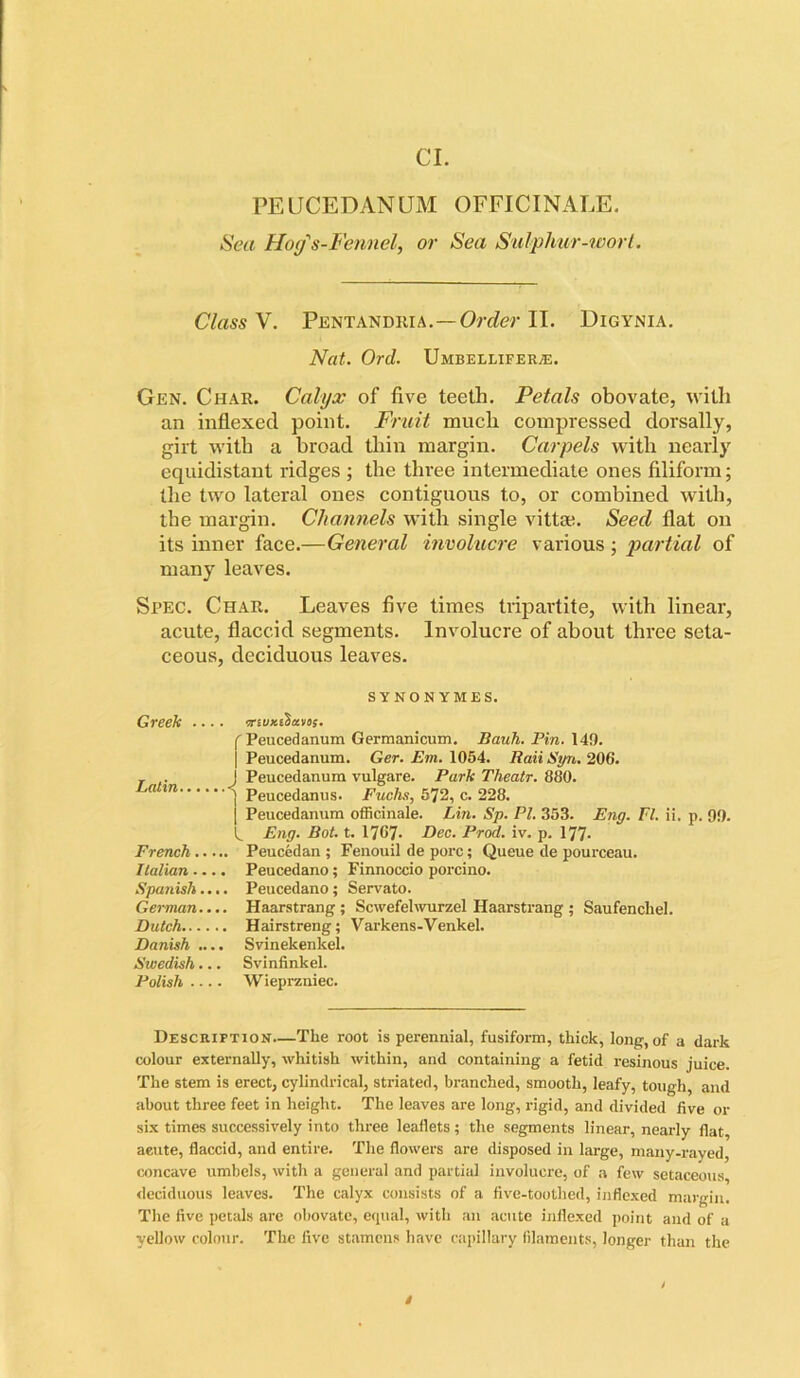 PEUCEDANUM OFFICINALE. Sea Hog's-Fennel, or Sea Sulphur-wort. Class V. Pentandria.—Order II. Digynia. Nat. Ord. Umbeleifeiue. Gen. Char. Calyx of five teeth. Petals obovate, with an inflexed point. Fruit much compressed dorsally, girt with a broad thin margin. Carpels with nearly equidistant ridges ; the three intermediate ones filiform; the two lateral ones contiguous to, or combined with, the margin. Channels with single vittat. Seed flat on its inner face.—General involucre various ; partial of many leaves. Spec. Char. Leaves five times tripartite, with linear, acute, flaccid segments. Involucre of about three seta- ceous, deciduous leaves. SYNONYM ES. Greek .... tnvxtSavos. f Peucedanurn Germanicum. Bauh. Pin. 149. j Peucedanurn. Ger. Em. 1054. Rail Syn. 206. T . J Peucedanurn vulgare. Park Theatr. 880. Lalm j Peucedanus. Fuchs, 572, c. 228. [ Peucedanurn officinale. Lin. Sp. PI. 353. Eng. FI. ii. p. 99. k Eng. Bot. t. 1767* Dec. Prod. iv. p. 177- French Peucedan ; Fenouil de pore; Queue de pourceau. Italian — . Peucedano; Finnoccio porcino. Spanish.... Peucedano; Servato. German.... Haarstrang; Scwefelwurzel Haarstrang ; Saufencliel. Dutch Hairstreng; Varkens-Venkel. Danish .... Svinekenkel. Swedish... Svinfinkel. Polish .... Wieprzniec. Description—The root is perennial, fusiform, thick, long, of a dark colour externally, whitish within, and containing a fetid resinous juice. The stem is erect, cylindrical, striated, branched, smooth, leafy, tough, and about three feet in height. The leaves are long, i-igid, and divided five or six times successively into three leaflets; the segments linear, nearly flat, aeute, flaccid, and entire. The flowers are disposed in large, many-rayed, concave umbels, with a general and partial involucre, of a few setaceous, deciduous leaves. The calyx consists of a five-toothed, inflexed margin. The five petals are obovate, equal, with an acute inflexed point and of a yellow colour. The five stamens have capillary filaments, longer than the i »