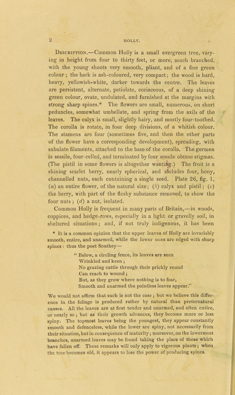 •2 Description.—Common Holly is a small evergreen tree, vary- ing in height from four to thirty feet, or more, much branched, with the young shoots very smooth, pliant, and of a fine green colour ; the bark is ash-coloured, very compact; the wood is hard, heavy, yellowish-white, darker towards the centre. The leaves are persistent, alternate, petiolate, coriaceous, of a deep shining green colour, ovate, undulated, and furnished at the margins with strong sharp spines.* The flowers are small, numerous, on short peduncles, somewhat umbellate, and spring from the axils of the leaves. The calyx is small, slightly hairy, and mostly four-toothed. The corolla is rotate, in four deep divisions, of a whitish colour. The stamens are four (sometimes five, and then the other parts of the flower have a corresponding development), spreading, with subulate filaments, attached to the base of the corolla. The germen is sessile, four-celled, and terminated by four sessile obtuse stigmas. (The pistil in some flowers is altogether wantiAg.) The fruit is a shining scarlet berry, nearly spherical, and ificludes four, bony, channelled nuts, each containing a single seed. Plate 26, fig. 1, (a) an entire flower, of the natural size; (/>) calyx and pistil; (c) the berry, with part of the fleshy substance removed, to show the four nuts ; (rf) a nut, isolated. Common Holly is frequent in many parts of Britain,—in woods, coppices, and hedge-rows, especially in a light or gravelly soil, in sheltered situations ; and, if not truly indigenous, it has been * It is a common opinion that the upper leaves of Holly are invariably smooth, entire, and unarmed, while the lower ones are edged with sharp spines : thus the poet Southey— “ Below, a circling fence, its leaves are seen Wrinkled and keen; No grazing cattle through their prickly round Can reach to wound ; But, as they grow where nothing is to fear. Smooth and unarmed the pointless leaves appear.” We would not affirm that such is not the case; but we believe this differ- ence in the foliage is produced rather by natural than preternatural causes. All the leaves are at first tender and unarmed, and often entire, or nearly so ; but as their growth advances, they become more or less spiny. The topmost leaves being the youngest, they appear constantly smooth and defenceless, while the lower are spiny, not necessarily from their situation, hut in consequence of maturity; moreover, on the lowermost branches, unarmed leaves may be found taking the place of those which have fallen oflP. These remarks will only apply to vigorous plants ; when the tree becomes old, it appears to lose the power of producing spines.
