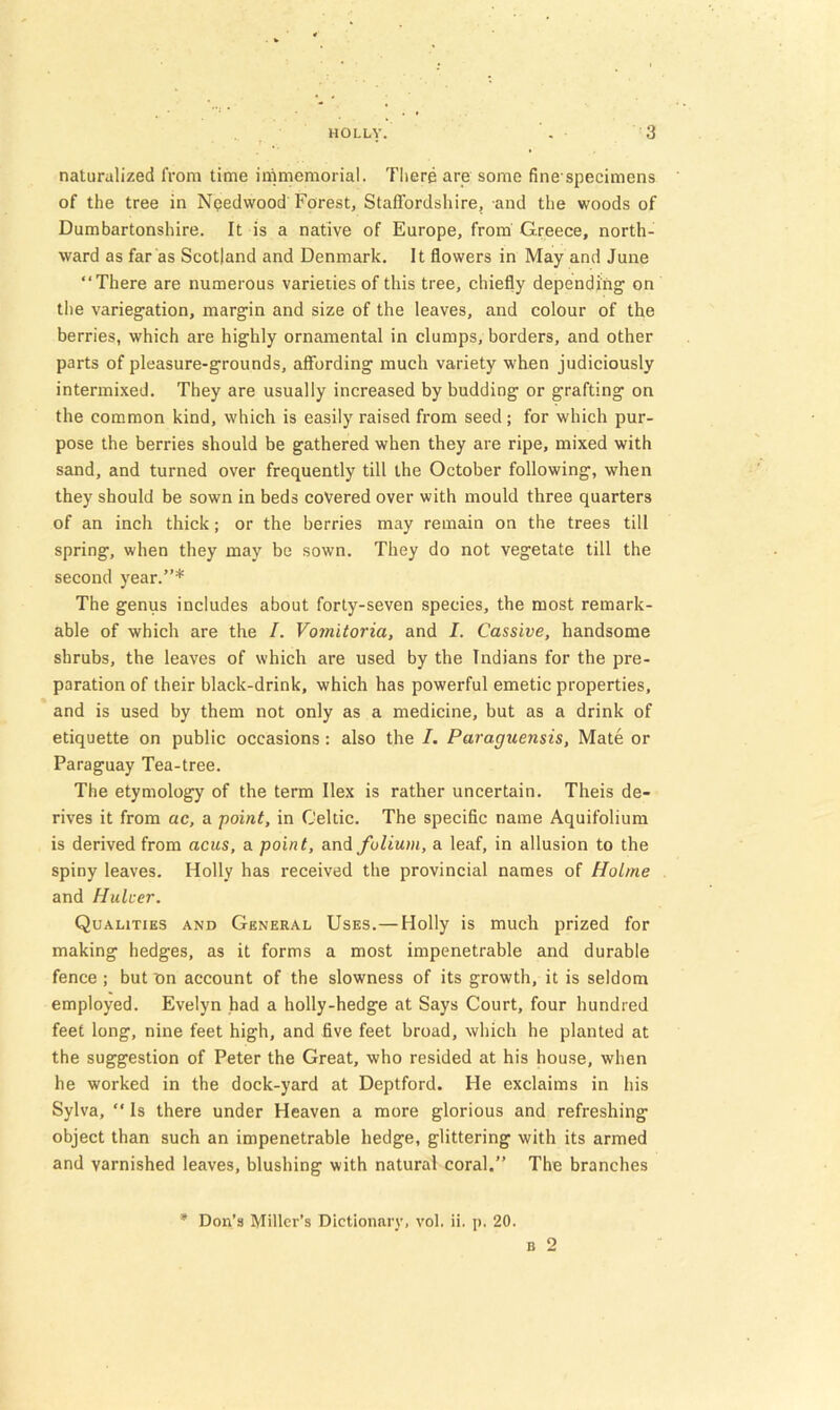 naturalized from time immemorial. There are some fine specimens of the tree in Needwood Forest, Staffordshire, and the woods of Dumbartonshire. It is a native of Europe, from Greece, north- ward as far as Scotland and Denmark. It flowers in May and June “There are numerous varieties of this tree, chiefly depending on the variegation, margin and size of the leaves, and colour of the berries, which are highly ornamental in clumps, borders, and other parts of pleasure-grounds, affording much variety when judiciously intermixed. They are usually increased by budding or grafting on the common kind, which is easily raised from seed; for which pur- pose the berries should be gathered when they are ripe, mixed with sand, and turned over frequently till the October following, when they should be sown in beds covered over with mould three quarters of an inch thick; or the berries may remain on the trees till spring, when they may be sown. They do not vegetate till the second year.”* The genus includes about forty-seven species, the most remark- able of which are the I. Vomitoria, and I. Cassive, handsome shrubs, the leaves of which are used by the Indians for the pre- paration of their black-drink, which has powerful emetic properties, and is used by them not only as a medicine, but as a drink of etiquette on public occasions : also the I. Paraguensis, Mate or Paraguay Tea-tree. The etymology of the term Ilex is rather uncertain. Theis de- rives it from ac, a point, in Celtic. The speciflc name Aquifolium is derived from acus, a point, and folium, a leaf, in allusion to the spiny leaves. Holly has received the provincial names of Holme and Hulcer. Qualities and General Uses.—Holly is much prized for making hedges, as it forms a most impenetrable and durable fence ; but on account of the slowness of its growth, it is seldom employed. Evelyn had a holly-hedge at Says Court, four hundred feet long, nine feet high, and five feet broad, which he planted at the suggestion of Peter the Great, who resided at his house, when he worked in the dock-yard at Deptford. He exclaims in his Sylva, “ Is there under Heaven a more glorious and refreshing object than such an impenetrable hedge, glittering with its armed and varnished leaves, blushing with natural coral.” The branches * Don’s Miller’s Dictionary, vol. ii. j). 20. B 2