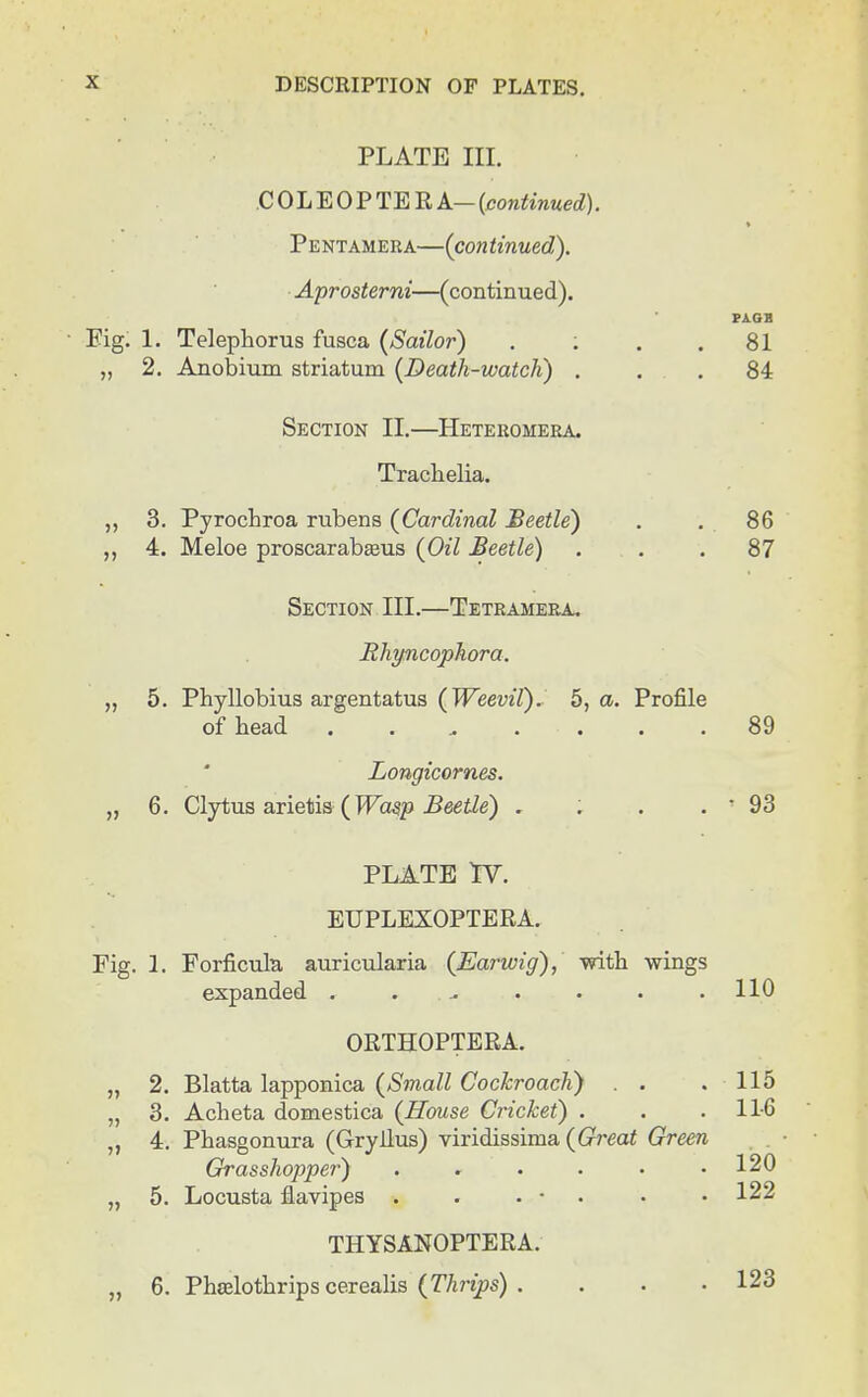 PLATE III. COLEOPTERA— (continued). Pentamera—(continued). Aprosterni—(continued). 5» PAGE Eig. 1. Telephorus fusea (Sailor) . : . .81 „ 2. Anobium striatum (Death-watch) ... 84 Section II.—Heteromera. Trachelia. 3. Pyrochroa rubens (Cardinal Beetle) . . 86 4. Meloe proscarabasus (Oil Beetle) . . .87 Section III.—Tetramera. Rhyncophora. „ 5. Phyllobius argentatus (Weevil). 5, a. Profile of head 89 Longicornes. „ 6. Clytus arietis (Wasp Beetle) . . . . * 93 PLATE IV. EUPLEXOPTERA. Fig. 1. Forficula auricularia (Earwig), with wings expanded . . . . . . 110 ORTHOPTERA. 2. Blatta lapponica (Small Cockroach) . . .115 3. Acheta domestica (House Cricket) . . .116 4. Phasgonura (Gryilus) viridissima (Great Green Grasshopper) . . . . • .120 5. Locusta flavipes . . . • • .122 THYSANOPTERA. 6. Phajlothrips cerealis (Thrips) . . . • 123