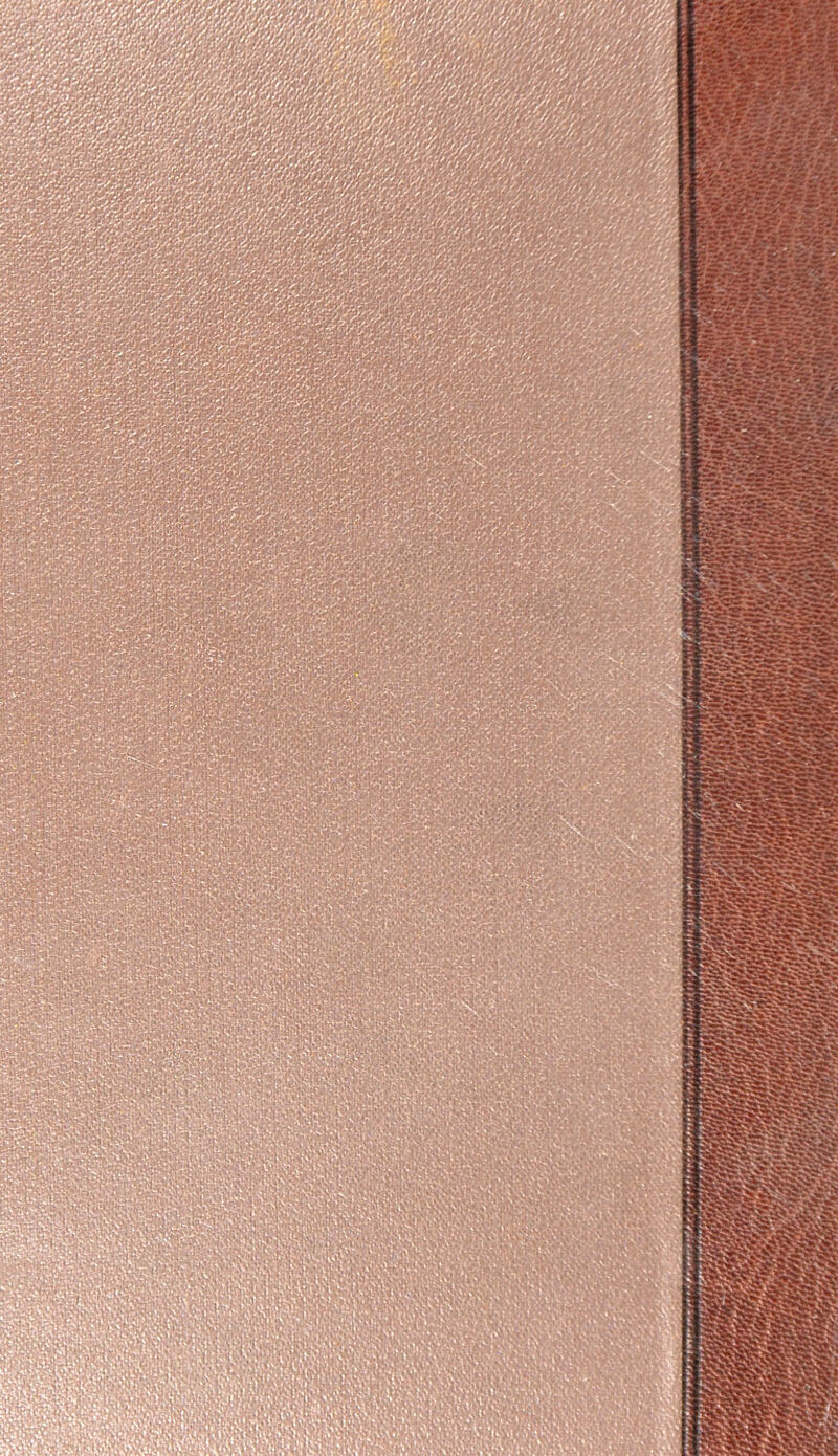 iililiii ^ '- '^•’.i; I*: v‘?'/'v^’T'iL-*l‘V