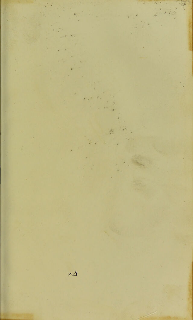 digitised image 3