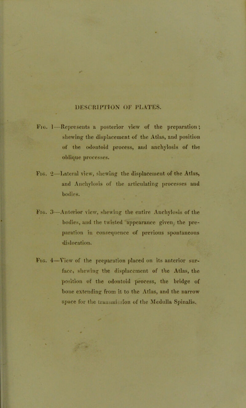 DESCRIPTION OF PLATES. Fig. 1—Represents a posterior view of the preparation; shewing the displacement of the Atlas, and position of the odontoid process, and anchylosis of the oblique processes. Fig. 2—Lateral view, shewing the displacement of the Atlas, and Anchylosis of the articulating processes and bodies. Fig. 3—Anterior view, shewing the entire Anchylosis of the bodies, and the twisted appearance given the pre- paration in consequence of previous spontaneous dislocation. Fig. 4—View of the preparation placed on its anterior sur- face, shewing the displacement of the Atlas, the position of the odontoid process, the bridge of hone extending from it to the Atlas, and the narrow space for the transmission of the Medulla Spinalis.