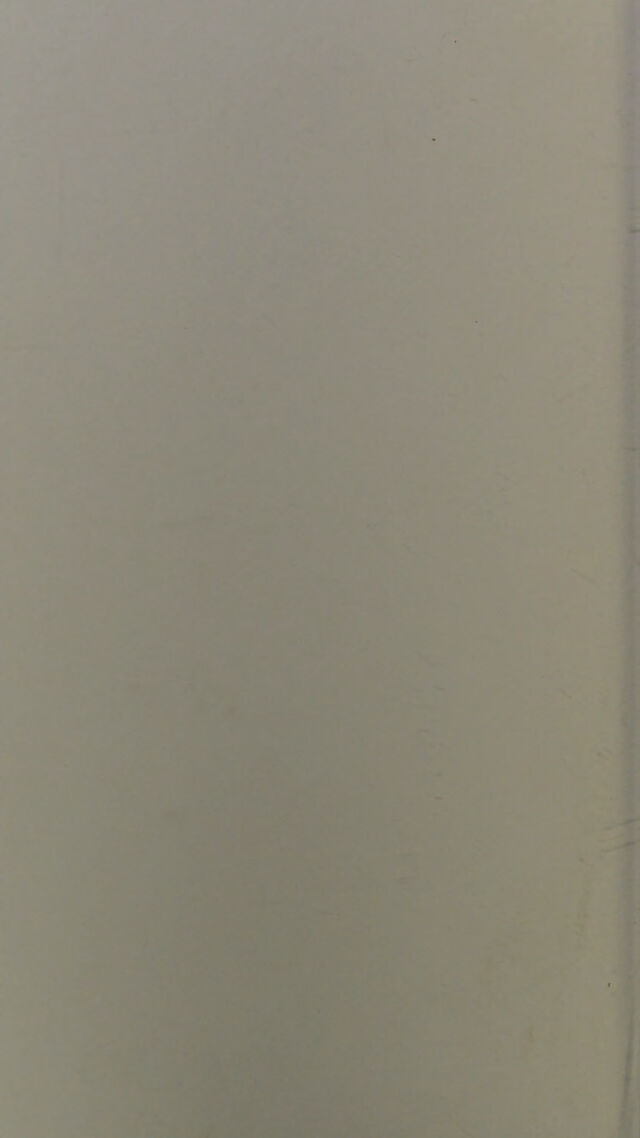 digitised image 2