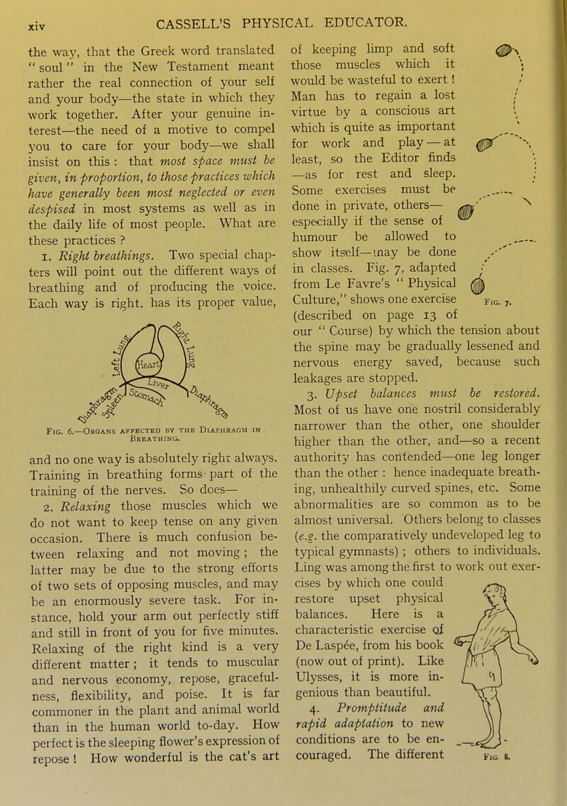 the way, that the Greek word translated  soul in the New Testament meant rather the real connection of your self and your body—the state in which they work together. After your genuine in- terest—the need of a motive to compel you to care for your body—we shall insist on this : that most space must be given, in proporiion, to those practices which have generally been most neglected or even despised in most systems as well as in the daily life of most people. What are these practices ? I. Right breathings. Two special chap- ters will point out the different ways of breathing and of producing the voice. Each way is right, has its proper value, Fig. 6.—Groans affected by the Diaphragm in Breathing. and no one way is absolutely right always. Training in breathing forms part of the training of the nerves. So does— 2. Relaxing those muscles which we do not want to keep tense on any given occasion. There is much confusion be- tween relaxing and not moving; the latter may be due to the strong efforts of two sets of opposing muscles, and may be an enormously severe task. For in- stance, hold your arm out perfectly stiff and still in front of you for five minutes. Relaxing of the right kind is a very different matter; it tends to muscular and nervous economy, repose, graceful- ness, flexibility, and poise. It is far commoner in the plant and animal world than in the human world to-day. How perfect is the sleeping flower's expression of repose ! How wonderful is the cat's art Fig. 7. of keeping hmp and soft those muscles which it would be wasteful to exert! Man has to regain a lost virtue by a conscious art which is quite as important for work and play — at least, so the Editor finds —as for rest and sleep. Some exercises must be done in private, others— especially if the sense of humour be allowed to show itself—may be done in classes. Fig. 7, adapted from Le Favre's  Physical Culture, shows one exercise (described on page 13 of our  Course) by which the tension about the spine may be gradually lessened and nervous energy saved, because such leakages are stopped. 3. Upset balances must be restored. Most of us have one nostril considerably narrower than the other, one shoulder higher than the other, and—so a recent authority has contended—one leg longer than the other : hence inadequate breath- ing, unhealthily curved spines, etc. Some abnormalities are so common as to be almost universal. Others belong to classes {e.g. the comparatively undeveloped leg to typical gymnasts) ; others to individuals. Ling was among the first to work out exer- cises by which one could restore upset physical balances. Here is a characteristic exercise oi De Lasp^e, from his book (now out of print). Like Ulysses, it is more in- genious than beautiful. 4. Promptitude and rapid adaptation to new conditions are to be en- couraged. The different fjg. b.