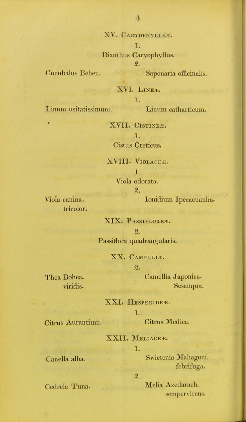 4> XV. CARYOPIIYLLEiE. 1. Dianthus Caryophyllus. 2. Cucubalus Behen. Saponaria officinalis. XVI. LlNE^. 1. Linum usitatissimuni. Liniim catharticum. XVII. CiSTINEiE. 1. Cistus Creticus. XVIII. VlOLACE^. 1. Viola odorata. lonidium Ipecacuanha. Viola canina. tricolor. Thea Bohea. viridis. XIX. PASSIFLOIlEiE. Passiflora quadrangularis. XX. Camellia. Camellia Japonica. Sesanqua. XXI. Hesperide^. 1. Citrus Aurantium. Citrus Medica. Canella alba. Cedrela Tuna. XXII. Meliace^. 1. Swietenia Maliagoni. febrifuga. o Melia Azedarach. semper vircns.