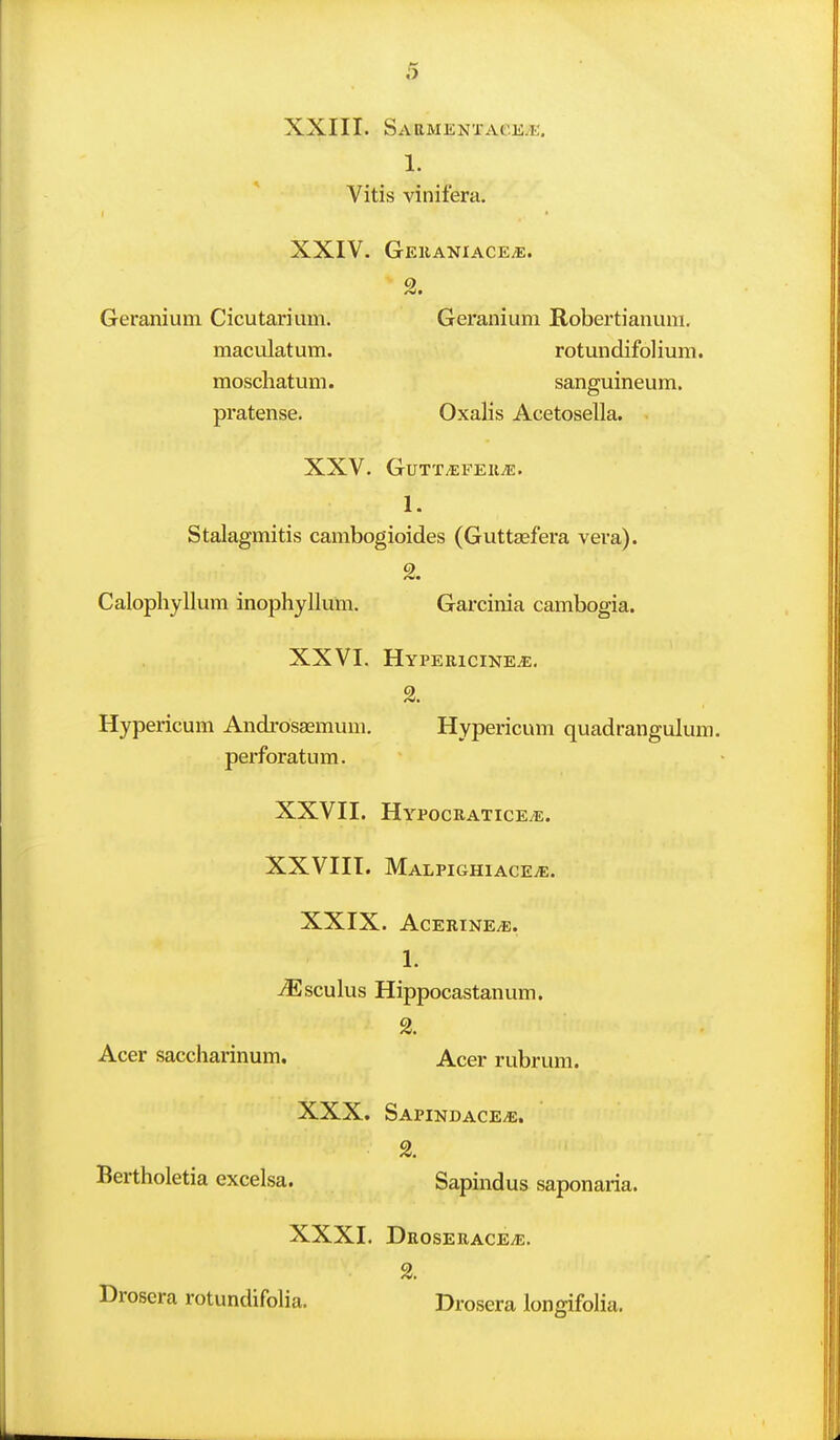 XXIII. SAaMEKTACE/E. 1. Vitis vinifera. XXIV. Gehaniace^. At* Geranium Cicutarium. Geranium Robertianuni. maculatum. rotundifolium. moschatum. sanguineum. pratense. Oxalis Acetosella. XXV. GuTTiEFEllvE. 1. Stalagmitis cambogioides (Guttaefera vera). 2. Calopliyllum inophyllum. Garcinia cambogia. XXVI. Hypebicine.e. Hypericum Androsaemum. Hypericum quadrangulum. perforatum. XXVII. Hypocratice/e. XXVIII. Malpighiaceve. XXIX. Acerine^e. 1. iEsculus Hippocastanum. 2. Acer saccharinum. Acer rubrum. XXX. SAPINDACEiE. % Bertholetia excelsa. Sapindus saponaria. XXXI. Droserace^e. 2. Drosera rotundifolia. Drosera longifolia.