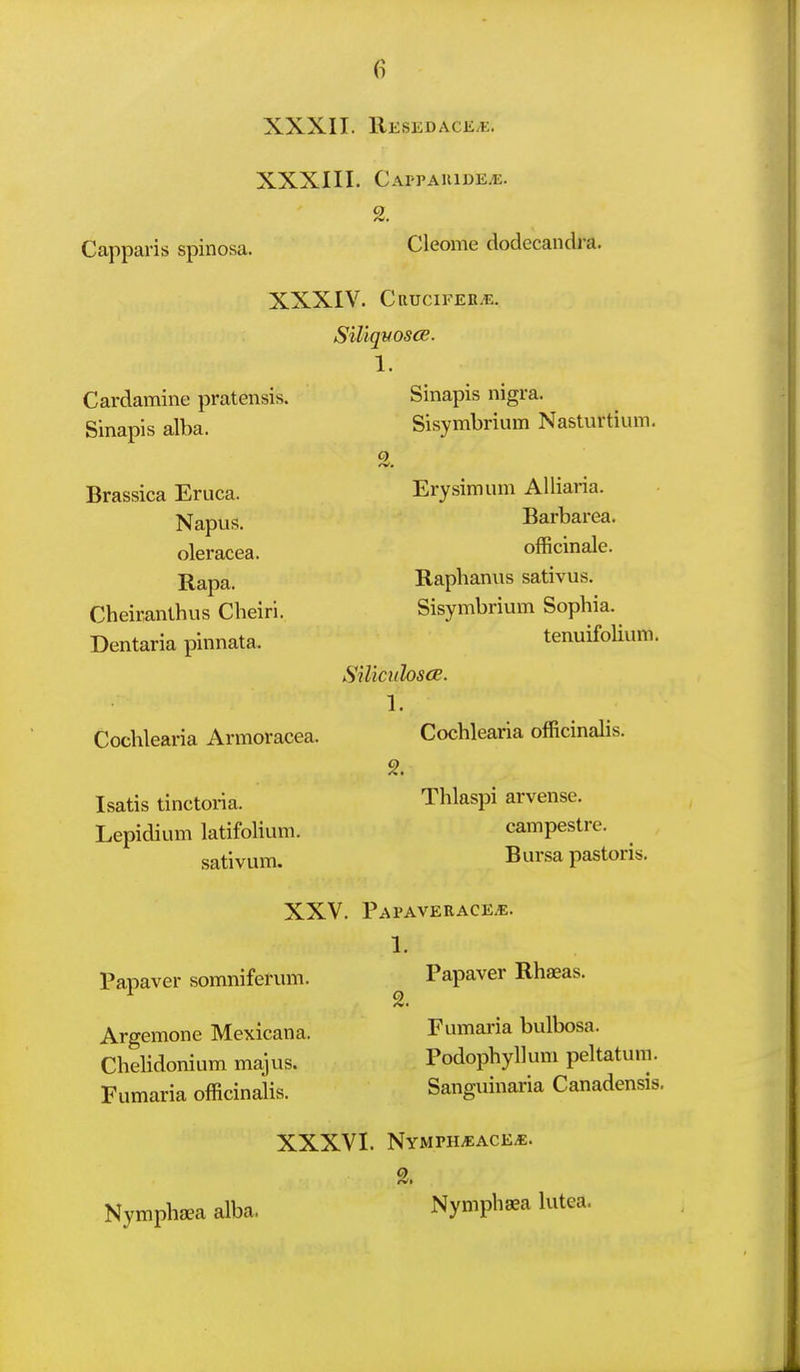 XXXII. Resedace^. XXXIII. CArPAUlDEyE. Capparis spinosa. Cleome dodecandra. XXXIV. CllUCIFEB^. SiliqvoscB. 1. Cardamine pratensis. Sinapis nigra. Sinapis alba. Sisymbrium Nasturtium. 2. Brassica Eruca. Erysimum Alliaria. Napus. Barbarea. oleracea. officinale. Rapa. Raphanus sativus. Cheiranthus Cheiri. Sisymbrium Sophia. Dentaria pinnata. tenuifoUum. SiliciilosiS. 1. Cochlearia Armoracea. Cochlearia officinalis. 2. Isatis tinctoi-ia. Thlaspi arvense. Lepidium latifolium. campestre. sativum. Bursa pastoris. XXV. Papaverace^. 1. Papaver somniferum. ^ Papaver Rhaeas. Argemone Mexicana. Fumaria bulbosa. Chelidonium majus. Podophyllum peltatum. Fumaria officinalis. Sanguinaria Canadensis. XXXVI. NyMPH-EACE^. 2. Nymphjea alba. Nymphaea lutea.