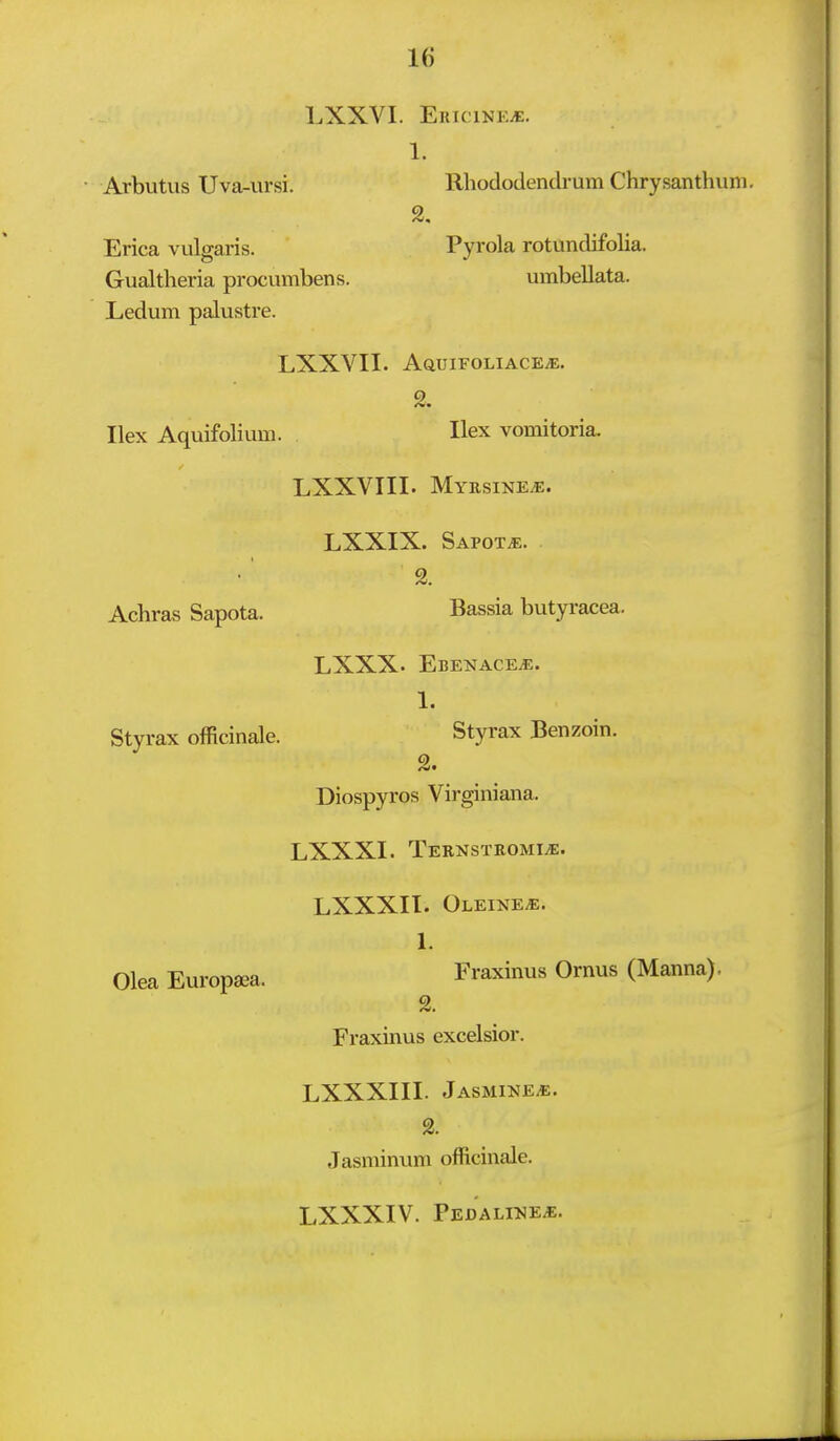 LXXVI. Ericine^. 1. • Arbutus Uva-ursi. Rhododendi'um Chrysanthum, Erica vulgaris. Pyrola rotundifolia. Gualtheria procumbens. umbellata. Ledum palustre. LXXVII. AauiFOLiACE^. 2. Ilex Aquifolium. Ilex vomitoria. LXXVIII. Myksine^. LXXIX. Sapot^. 2. Achras Sapota. Bassia butyracea. LXXX. Ebenace^. 1. Stvrax officinale. Styrax Benzoin. 2. Diospyros Virginiana. LXXXI. TERNSTROMIiE. LXXXII. Oleine^. 1. Olea Europsea. Fraxinus Ornus (Manna). 2. Fraxinus excelsior. LXXXIII. Jasmines. 2. Jasminum officinale. LXXXIV. Pedaline^.