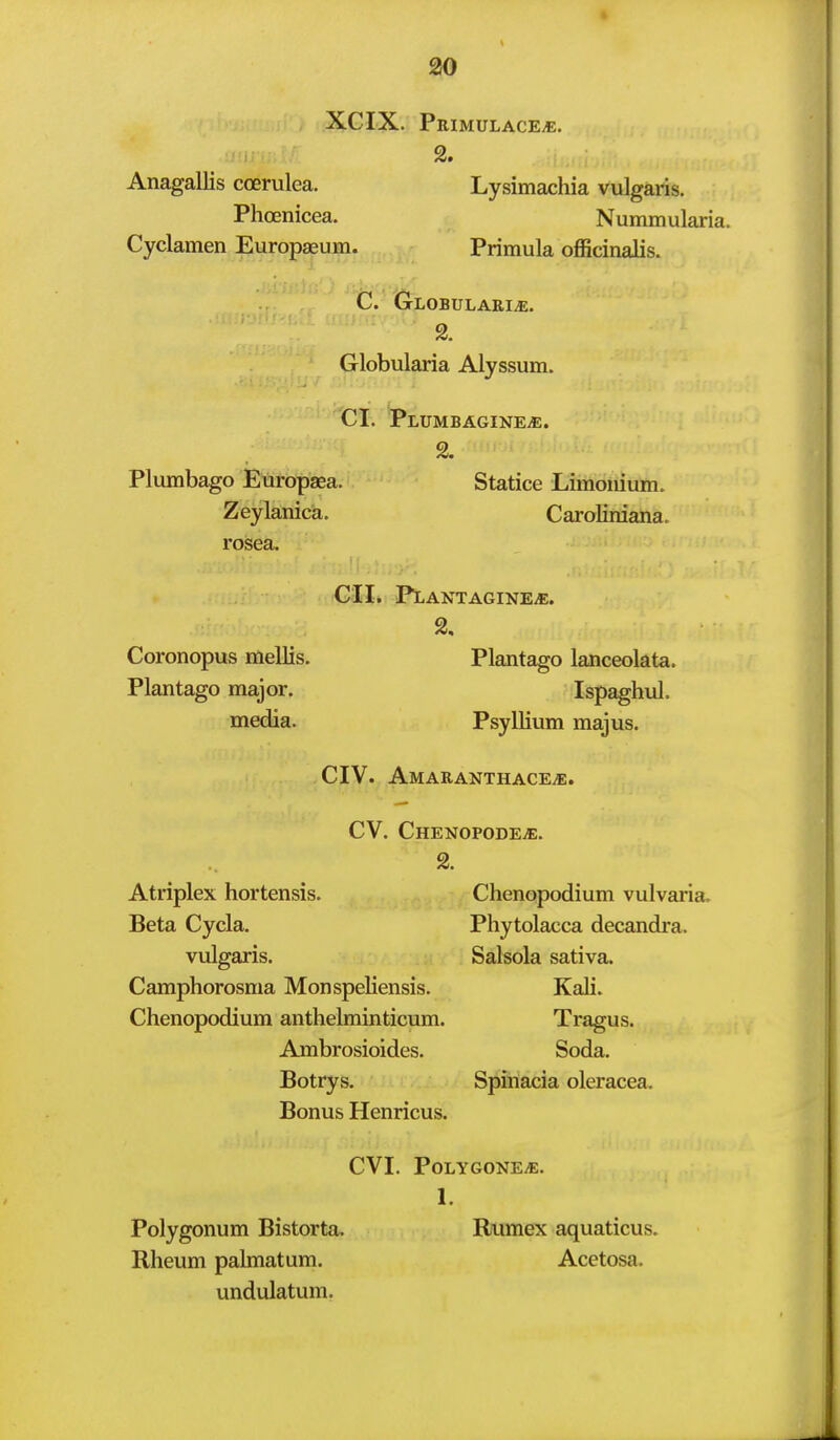 % Anagallis coerulea. Lysimachia vulgaris. Phoenicea. Nummularia. Cyclamen Europaeum. Primula oflScinalis. C. Globulari^, Globularia Alyssum. CI. PlUMBAGINEjE. Plumbago Europaea. Statice Limouium. Zeylanica. Caroliniana. rosea. GII. PLANTAGINEiE. % Coronopus mellis. Plantago lanceolata. Plantago major. Ispaghul. media. Psyllium majus. CIV. Amaranthaceje. CV. CHENOPODE.E. Atriplex hortensis. Chenopodium vulvaina. Beta Cycla. Phytolacca decandra. vulgaris. Salsola sativa. Camphorosma Monspeliensis. Kali. Chenopodium anthelminticum. Tragus. Ambrosioides. Soda. Botrys. Spinlacia oleracea. Bonus Henricus. CVI. PoLYGONEiE. 1. Polygonum Bistorta. Riimex aquations. Rheum palmatum. Acetosa. undulatum.