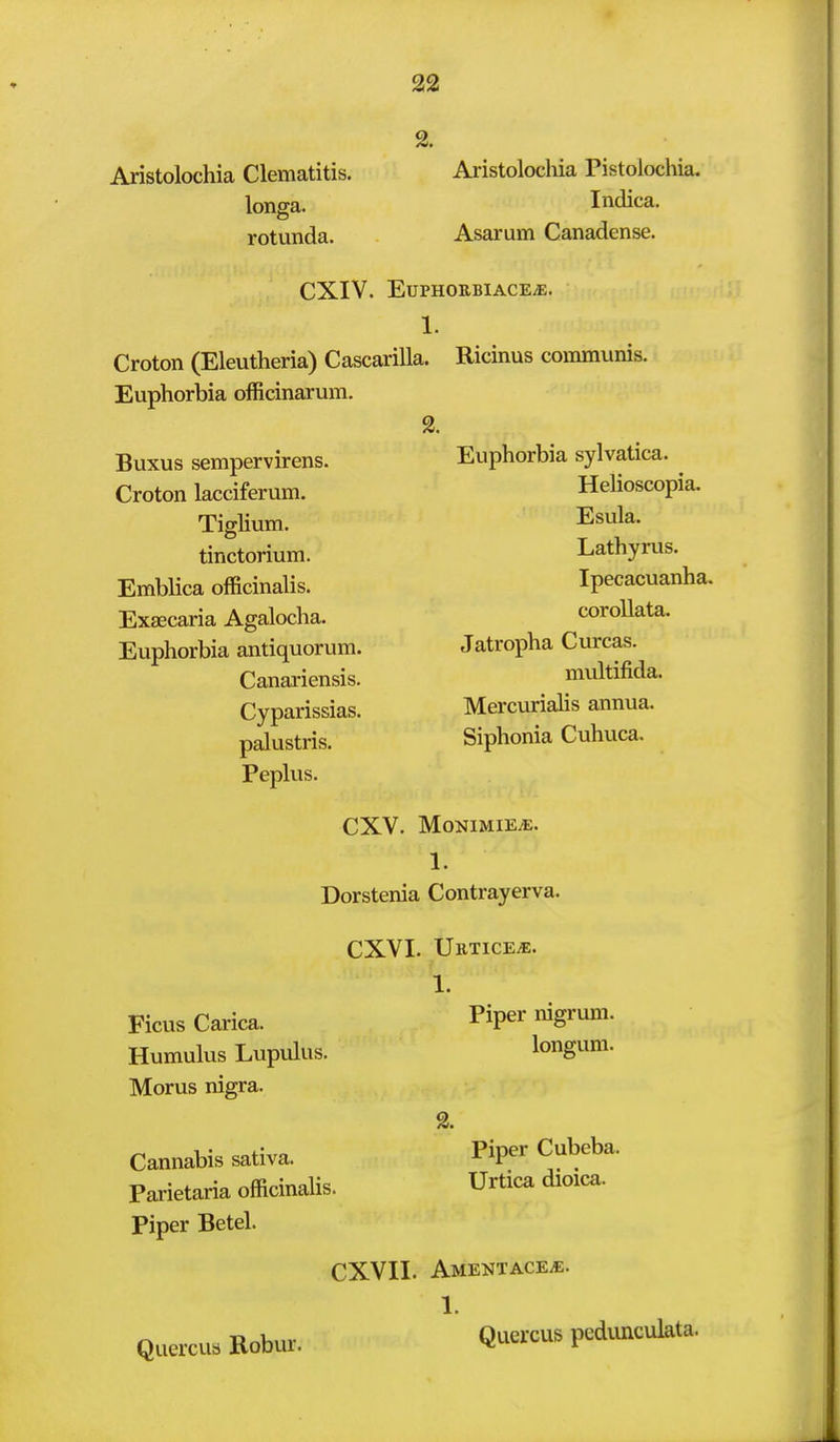 2. Aristolochia Clematitis. longa. rotunda. Aristolocliia Pistoiochia. Indica. Asarum Canadense. Croton (Eleutheria) Cascarilla. Euphorbia officinarum. CXIV. EUPHORBIACE^. 1. Ricinus conununis. 2. Buxus sempervirens. Croton lacciferum. Tiglium. tinctorium. Emblica officinalis. Exaecaria Agaloclia. Euphorbia antiquorum. Canariensis. Cyparissias. palustris. Peplus. Euphorbia sylvatica. Helioscopia. Esula. Lathyrus. Ipecacuanha. coroUata. Jatropha Curcas. multifida. Mercurialis annua. Siphonia Cuhuca. CXV. M0NIMIE;E. 1. Dorstenia Contrayerva. CXVI. UllTICE^. 1. Ficus Carica. Humukis Lupukis. Morus nigra. Cannabis sativa. Parietaria officinalis. Piper Betel. Piper nigrum, longum. Piper Cubeba. Urtica dioica. Quercus Robur. CXVII. AMENTACEiE. 1. Quercus pedunculata.