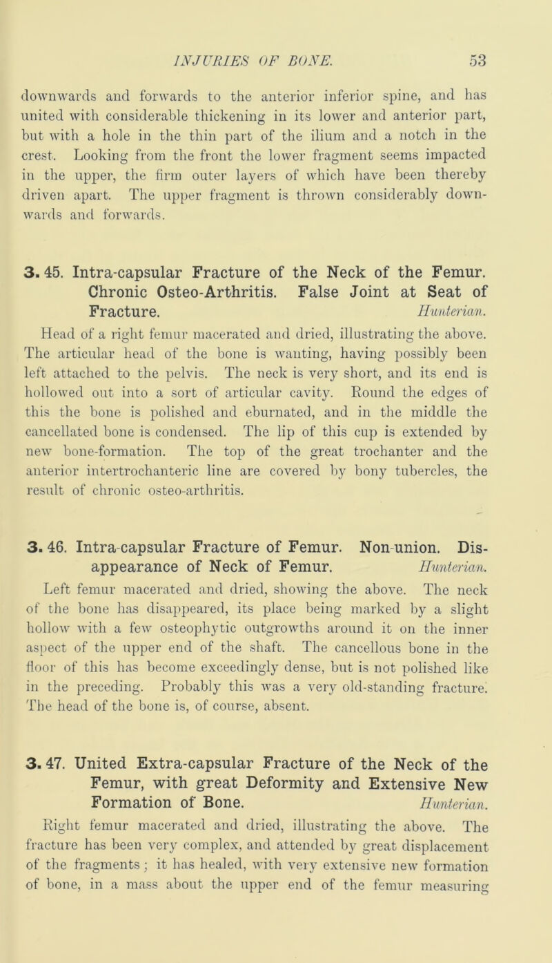 downwards and forwards to the anterior inferior spine, and has united with considerable thickening in its lower and anterior part, but with a hole in the thin part of the ilium and a notch in the crest. Looking from the front the lower fragment seems impacted in the upper, the firm outer layers of which have been thereby driven apart. The upper fragment is thrown considerably down- wards and forwards. 3. 45. Intra-capsular Fracture of the Neck of the Femur. Chronic Osteo-Arthritis. False Joint at Seat of Fracture. Hunterian. Head of a right femur macerated and dried, illustrating the above. The articular head of the bone is wanting, having possibly been left attached to the pelvis. The neck is very short, and its end is hollowed out into a sort of articular cavity. Round the edges of this the bone is polished and eburnated, and in the middle the cancellated bone is condensed. The lip of this cup is extended by new bone-formation. The top of the great trochanter and the anterior intertrochanteric line are covered by bony tubercles, the result of chronic osteo-arthritis. 3. 46. Intra-capsular Fracture of Femur. Non-union. Dis- appearance of Neck of Femur. Hunterian. Left femur macerated and dried, showing the above. The neck of the bone has disappeared, its place being marked by a slight hollow with a few osteophytic outgrowths around it on the inner aspect of the upper end of the shaft. The cancellous bone in the floor of this has become exceedingly dense, but is not polished like in the preceding. Probably this was a very old-standing fracture. The head of the bone is, of course, absent. 3. 47. United Extra-capsular Fracture of the Neck of the Femur, with great Deformity and Extensive New Formation of Bone. Hunterian. Right femur macerated and dried, illustrating the above. The fracture has been very complex, and attended by great displacement of the fragments; it has healed, with very extensive new formation of bone, in a mass about the upper end of the femur measuring