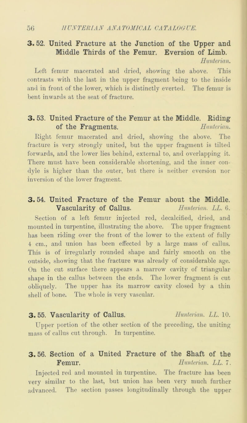 3. 52. United Fracture at the Junction of the Upper and Middle Thirds of the Femur. Eversion of Limb. Hunterian. Lett femur macerated and dried, showing the above. This contrasts witli the last in the upper fragment being to the inside and in front of the lower, which is distinctly everted. The femur is bent inwards at the seat of fracture. 3.53. United Fracture of the Femur at the Middle. Riding- of the Fragments. Hunterian. Light femur macerated and dried, showing the above. The fracture is very strongly united, but the upper fragment is tilted forwards, and the lower lies behind, external to, and overlapping it. There must have been considerable shortening, and the inner con- dyle is higher than the outer, but there is neither eversion nor inversion of the lower fragment. 3.54. United Fracture of the Femur about the Middle. Vascularity of Callus. Hunterian. LL. 6. Section of a left femur injected red, decalcified, dried, and mounted in turpentine, illustrating the above. The upper fragment has been riding over the front of the lower to the extent of fully 4 cm., and union has been effected by a large mass of callus. This is of irregularly rounded shape and fairly smooth on the outside, showing that the fracture was already of considerable age. On the cut surface there appears a marrow cavity of triangular shape in the callus between the ends. The lower fragment is cut oblicpiely. The upper has its marrow cavity closed by a thin shell of bone. The whole is very vascular. 3.55. Vascularity of Callus. Hunterian. LL. 10. Upper portion of the other .section of the preceding, the uniting mass of callus cut through. In turpentine. 3.56. Section of a United Fracture of the Shaft of the Femur. Hunterian. LL. 7. Injected red and mounted in turpentine. The fracture has been very similar to the last, but union has been very much further advanced. The section passes longitudinally through the upper