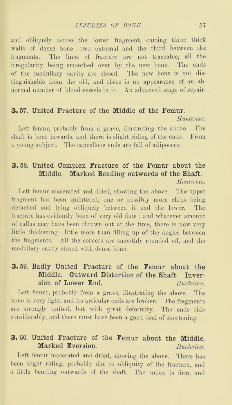 and obliquely across the lower fragment, cutting three thick walls of dense bone—two external and the third between the fragments. The lines of fracture ai’e not traceable, all the irregularity being smoothed over by the new bone. The ends of the medullary cavity are closed. The new bone is not dis- tinguishable from the old, and there is no ajjpearance of an ab- normal number of blood-vessels in it. An advanced stage of repair. 3.57. United Fracture of the Middle of the Femur. Hunterian. Left femur, probably from a grave, illustrating the above. The shaft is bent inwards, and there is slight riding of the ends. From a young subject. The cancellous ends are full of adipocere. 3.58. United Complex Fracture of the Femur about the Middle. Marked Bending outwards of the Shaft. Hunterian. Left femur macerated and dried, showing the above. The upper fragment has been splintered, one or possibly more chips being detached and lying obliquely between it and the lower. The fracture has evidently been of very old date; and whatever amount of callus may have been thrown out at the time, there is now very little thickening—little more than filling up of the angles between the fragments. All the corners are smoothly rounded off, and the medullary cavity closed with dense bone. 3.59. Badly United Fracture of the Femur about the Middle. Outward Distortion of the Shaft. Inver- sion of Lower End. Hunterian. Left femur, probably from a grave, illustrating the above. The bone is very light, and its articular ends are broken. The fragments are strongly united, but with great deformity. The ends ride considerably, and there must have been a good deal of shortening. 3. 60. United Fracture of the Femur about the Middle. Marked Eversion. Hunterian. Left femur macerated and dried, showing the above. There has been slight riding, probably due to obliquity of the fracture, and a little bending outwards of the shaft. The union is firm, and