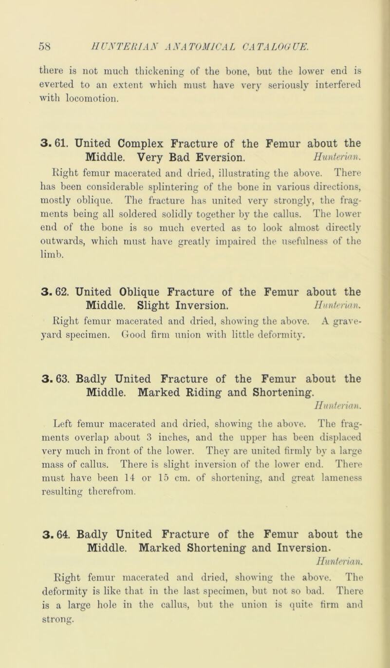 there is not much thickening of the bone, but the lower end is everted to an extent which must have very seriously interfered with locomotion. 3. 61. United Complex Fracture of the Femur about the Middle. Very Bad Eversion. Hunterian. Right femur macerated and dried, illustrating the above. There has been considerable splintering of the bone in various directions, mostly oblique. The fracture has united very strongly, the frag- ments being all soldered solidly together by the callus. The lower end of the bone is so much everted as to look almost directly outwards, which must have greatly impaired the u.sefulness of the limb. 3.62. United Oblique Fracture of the Femur about the Middle. Slight Inversion. llnntcrwn. Right femur macerated and dried, showing the above. A gra\’e- yard specimen. Good firm union with little deformity. 3.63. Badly United Fracture of the Femur about the Middle. Marked Riding and Shortening. Hunterian. Left femur macerated and dried, showing the above. Tlie frag- ments overlap about 3 inches, and the upper has been displaced verv much in front of the lower. Thev are united firmlv bv a larsje mass of callus. There is slight inversion of the lower end. There must have been 14 or 15 cm. of shortenins:, and reat lameness O' C* resulting therefrom. 3.64. Badly United Fracture of the Femur about the Middle. Marked Shortening and Inversion. Hunterian. Right femur macerated and dried, showing the above. The deformity is like that in the last speeimen, but not so bad. There is a large hole in the callus, but the union is quite firm and strong.