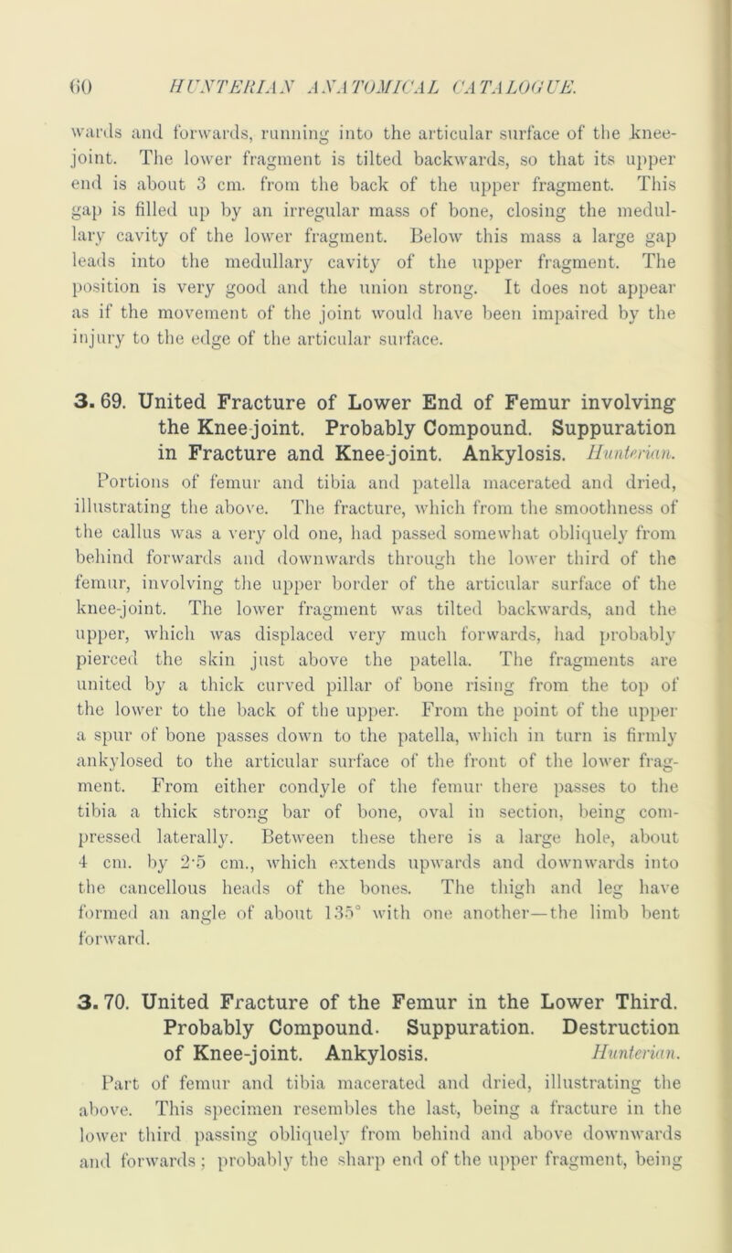 wards and forwards, running into the articular surface of the knee- joint. Tlie lower fragment is tilted backwards, so that its upper end is about 3 cm. from the back of the upper fragment. This gap is filled up by an irregular mass of bone, closing the medul- lary cavdty of the lower fragment. Below this mass a large gap leads into the medullary cavity of the upper fragment. The position is very good and the union strong. It does not appear as if the movement of the joint would have been impaired by the injury to the edge of the articular surface. 3. 69. United Fracture of Lower End of Femur involving the Knee joint. Probably Compound. Suppuration in Fracture and Knee-joint. Ankylosis. Ihmtman. Portions of femur and tibia and patella macerated and dried, illustrating the above. The fracture, which from the smoothness of the callus was a very old one, had passed somewhat obliquely from behind forwards and downwards through the lower third of the femur, involving the upper border of the articular surface of the knee-joint. The lower fragment was tilted backwards, and the upper, which was displaced very much forwards, had probably pierced the skin just above the patella. The fragments are united by a thick curved pillar of bone rising from the top of the lower to the back of the upi)er. From the point of the upper a spur of bone passes down to the patella, which in turn is firmly ankylosed to the articular surface of the front of the lower frag- ment. From either condyle of the femur there passes to the tibia a thick strong bar of bone, oval in section, being com- pressed laterally. Between these there is a large hole, about 4 cm. by cm., which extends upwards and downwards into the cancellous heads of the bones. The thigh and leg have formed an angle of about 13n° with one another—the limb bent forward. 3. 70. United Fracture of the Femur in the Lower Third. Probably Compound. Suppuration. Destruction of Knee-joint. Ankylosis. Ihinterian. Part of femur and tibia macerated and dried, illustrating the above. This specimen resembles the last, being a fracture in the lower third passing obliquely from behind and above downwards and forwards; probably the sharp end of the upper fragment, being