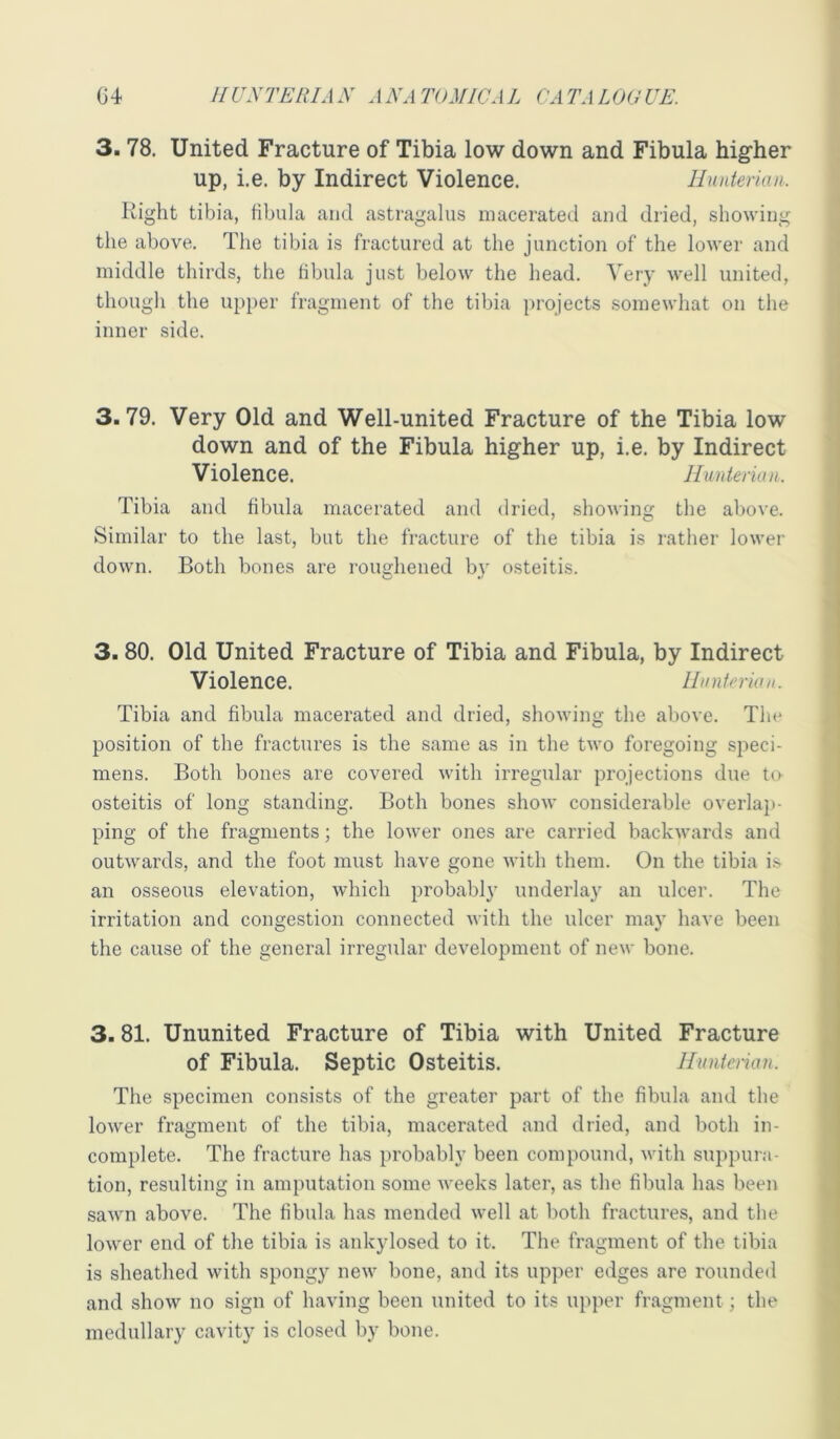 3.78. United Fracture of Tibia low down and Fibula higher up, i.e. by Indirect Violence. Hunterian. Right tibia, fibula and astragalus macerated and dried, showing the above. The tibia is fractured at the junction of the lower and middle thirds, the fibula just below the head. Very well united, though the upper fragment of the tibia projects somewhat on the inner side. 3.79. Very Old and Well-united Fracture of the Tibia low down and of the Fibula higher up, i.e. by Indirect Violence. Hunterian. Tibia and fibula macerated and dried, showing the above. Similar to the last, but the fracture of the tibia is rather lower down. Both bones are roughened by osteitis. 3.80. Old United Fracture of Tibia and Fibula, by Indirect Violence. Hunterian. Tibia and fibula macerated and dried, showing the above. The position of the fractures is the same as in the two foregoing speci- mens. Both bones are covered with irregular projections due t(h osteitis of long standing. Both bones show considerable overlap- ping of the fragments; the lower ones are carried backwards and outwards, and the foot must have gone with them. On the tibia is an osseous elevation, which probably underlay an ulcer. The irritation and congestion connected with the ulcer may have been the cause of the general irregular development of new bone. 3.81. Ununited Fracture of Tibia with United Fracture of Fibula. Septic Osteitis. Hunterian. The specimen consists of the greater part of the fibula and the lower fragment of the tibia, macerated and dried, and both in- complete. The fracture has probably been compound, with suppura- tion, resulting in amputation some weeks later, as the fibula has been sawn above. The fibula has mended well at both fractures, and the lower end of the tibia is ankylosed to it. The fragment of the tibia is sheathed with spongy new bone, and its upper edges are rounded and show no sign of having been united to its upper fragment; the medullary cavity is closed by bone.