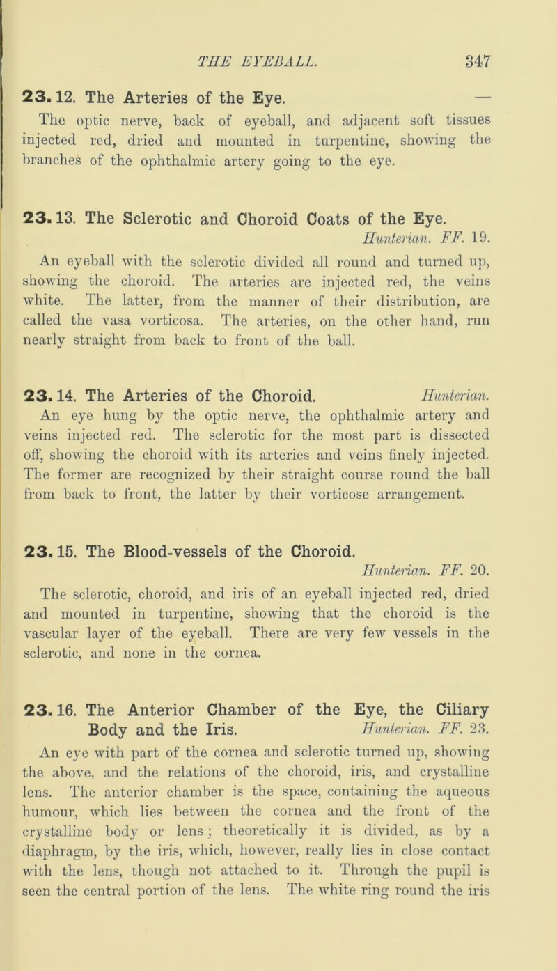 23.12. The Arteries of the Eye. — The optic nerve, back of eyeball, and adjacent soft tissues injected red, dried and mounted in turpentine, showing the branches of the ophthalmic artery going to the eye. 23.13. The Sclerotic and Choroid Coats of the Eye. Hunterian. FF. 19. An eyeball with the sclerotic divided all round and turned up, showing the choroid. The arteries are injected red, the veins white. The latter, from the manner of their distribution, are called the vasa vorticosa. The arteries, on the other hand, run nearly straight from back to front of the ball. 23.14. The Arteries of the Choroid. Hunterian. An eye hung by the optic nerve, the ophthalmic artery and veins injected red. The sclerotic for the most part is dissected off, showing the choroid with its arteries and veins finely injected. The former are recognized by their straight course round the ball from back to front, the latter by their vorticose arrangement. 23.15. The Blood-vessels of the Choroid. Hunterian. FF. 20. The sclerotic, choroid, and iris of an eyeball injected red, dried and mounted in turpentine, showing that the choroid is the vascular layer of the eyeball. There are very few vessels in the sclerotic, and none in the cornea. 23.16. The Anterior Chamber of the Eye, the Ciliary Body and the Iris. Hunterian. FF. 23. An eye with part of the cornea and sclerotic turned up, showing the above, and the relations of the choroid, iris, and crystalline lens. The anterior chamber is the space, containing the aqueous humour, which lies between the cornea and the front of the crystalline body or lens; theoretically it is divided, as by a diaphragm, by the iris, which, however, really lies in close contact with the lens, though not attached to it. Through the pupil is seen the central portion of the lens. The white ring round the iris