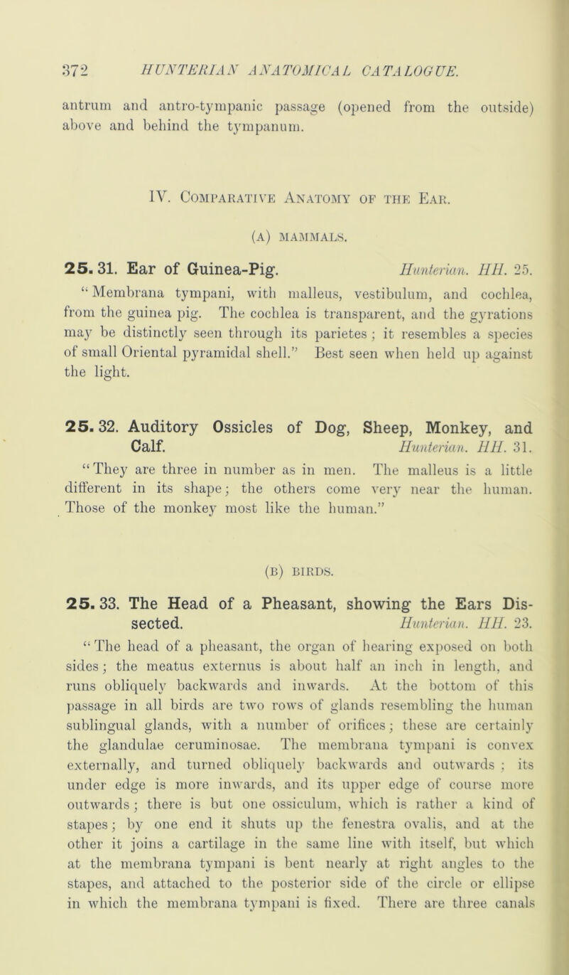 antrum and antro-tympanic passage (opened from the outside) above and behind the tympanum. IV. Comparative Anatomy of the Ear. (a) mammals. 25.31. Ear of Guinea-Pig. Hunterian. HR. 25. “ Membrana tympani, with malleus, vestibulum, and cochlea, from the guinea pig. The cochlea is transparent, and the gyrations may be distinctly seen through its parietes ; it resembles a species of small Oriental pyramidal shell.” Best seen when held up against the light. 25.32. Auditory Ossicles of Dog, Sheep, Monkey, and Calf. Hunterian. HH. 31. “They are three in number as in men. The malleus is a little difterent in its shape; the others come very near the human. Those of the monkey most like the human.” (b) birds. 25.33. The Head of a Pheasant, showing the Ears Dis- sected. Hunterian. HH. 23. “ The head of a pheasant, the organ of hearing exposed on lioth sides; the meatus externus is about half an inch in length, and runs obliquely backwards and inwards. At the bottom of this ])assage in all birds are two rows of glands resembling the human sublingual glands, Avith a number of orifices; these are certainly the glandulae ceruniinosae. The membrana tyin[)ani is convex externally, and turned obliquely backwards and outwards ; its under edge is more inwards, and its upper edge of course more outwards; there is but one ossiculum, Avhich is rather a kind of stapes; by one end it shuts up the fenestra ovalis, and at the other it joins a cartilage in the same line with itself, but which at the membrana tympani is bent nearly at right angles to the stapes, and attached to the posterior side of the circle or ellipse in which the membrana tympani is fixed. There are three canals