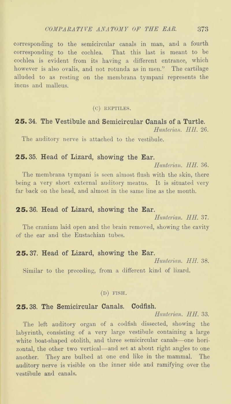 corresponding to the semicircnlar canals in man, and a fourth corresponding to the cochlea. That this last is meant to be cochlea is evident from its having a different entrance, which however is also ovalis, and not rotunda as in men.” The cartilage alluded to as resting on the membrana tympani represents the incus and malleus. (G) KKPTILE8. 25.34. The Vestibule and Semicircular Canals of a Turtle. Hunterian. 1111. 26. The auditory nerve is attached to the vestibule. 25.35. Head of Lizard, showing the Ear. Hunterian. 1111. 36. The membrana tjmipani is seen almost Hush with the skin, there being a very short external auditory meatus. It is situated very far back on the head, and almost in the same line as the mouth. 25.36. Head of Lizard, showing the Ear. Hunterian. HH. 37. The cranium laid open and the brain removed, showing the cavity of the ear and the Eustachian tubes. 25.37. Head of Lizard, showing the Ear. Hunterian. HH. 38. Similar to the preceding, from a different kind of lizard. (d) fish. 25.38. The Semicircular Canals. Codfish. Hunterian. HH. 33. The left auditory organ of a codfish dissected, showing the labyrinth, consisting of a very large vestibule containing a large white boat-shaped otolith, and three semicircular canals—one hori- zontal, the other two vertical—and set at about right angles to one another. They are bulbed at one end like in the mammal. The auditory nerve is visible on the inner side and ramifying over the vestibule and canals.