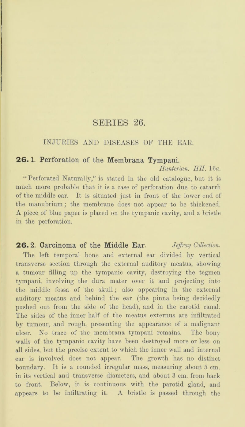 INJURIES AND DISEASES OF THE EAR. 26.1. Perforation of the Membrana Tympani. Hunterian. HU. IGa. “Perforated Naturally,” is stated in the old catalogue, but it is much more probable that it is a case of perforation due to catarrh of the middle ear. It is situated just in front of the lower end of the manubrium; the membrane does not appear to be thickened. A piece of blue paper is placed on the tympanic cavity, and a bristle in the perforation. 26. 2. Carcinoma of the Middle Ear. Jefimy Collection. The left temporal bone and external ear divided by vertical transverse section through the external auditory meatus, showing a tumour filling up the tympanic cavity, destroying the tegmen tympani, involving the dura mater over it and projecting into the middle fossa of the skull; also appearing in the external auditory meatus and behind the ear (the pinna being decidedly pushed out from the side of the head), and in the carotid canal. The sides of the inner half of the meatus externus are infiltrated by tumour, and rough, presenting the appearance of a malignant ulcer. No trace of the membrana tympani remains. The bony walls of the tympanic cavity have been destroyed more or less on all sides, but the precise extent to which the inner wall and internal ear is involved does not appear. The growth has no distinct boundary. It is a rounded irregular mass, measuring about 5 cm. in its vertical and transverse diameters, and about 3 cm. from back to front. Below, it is continuous with the parotid gland, and appears to be infiltrating it. A bristle is passed through the