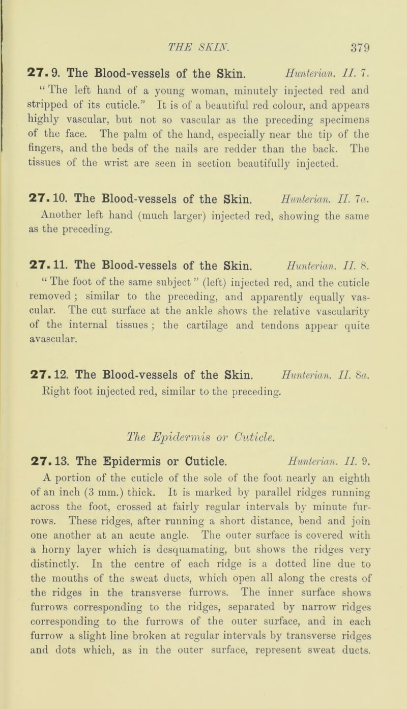 27.9. The Blood-vessels of the Skin. Hunterian. II. 7. “ The left hand of a young woman, minutely injected red and stripped of its cuticle.” It is of a beautiful red colour, and appears highly vascular, but not so vascular as the preceding specimens of the face. The palm of the hand, especially near the tip of the fingers, and the beds of the nails are redder than the back. The tissues of the wrist are seen in section beautifully injected. 27.10. The Blood-vessels of the Skin. Hunterian. II. lu. Another left hand (much larger) injected red, showing the same as the preceding. 27.11. The Blood-vessels of the Skin. Hunterian. II. 8. “ The foot of the same subject ” (left) injected red, and the cuticle removed ; similar to the preceding, and apparently ecpially vas- cular. The cut surface at the ankle shows the relative vascularity of the internal tissues ; the cartilage and tendons appeal' quite avascular. 27.12. The Blood-vessels of the Skin. Hunterian. II. 8a. Kight foot injected red, similar to the preceding. The Epidermis or Cuticle. 27.13. The Epidermis or Cuticle. Hunterian. II. 9. A portion of the cuticle of the sole of the foot nearly an eighth of an inch (3 mm.) thick. It is marked by parallel ridges running across the foot, crossed at fairly regular intervals by minute fur- rows. These ridges, after running a short distance, bend and join one another at an acute angle. The outer surface is covered with a horny layer which is desquamating, but shows the ridges very distinctly. In the centre of each ridge is a dotted line due to the mouths of the sweat ducts, which open all along the crests of the ridges in the transverse furrows. The inner surface shows furrows corresponding to the ridges, separated by narrow ridges corresponding to the furrows of the outer surface, and in each furrow a slight line broken at regular intervals by transverse ridges and dots which, as in the outer surfiice, represent sweat ducts.