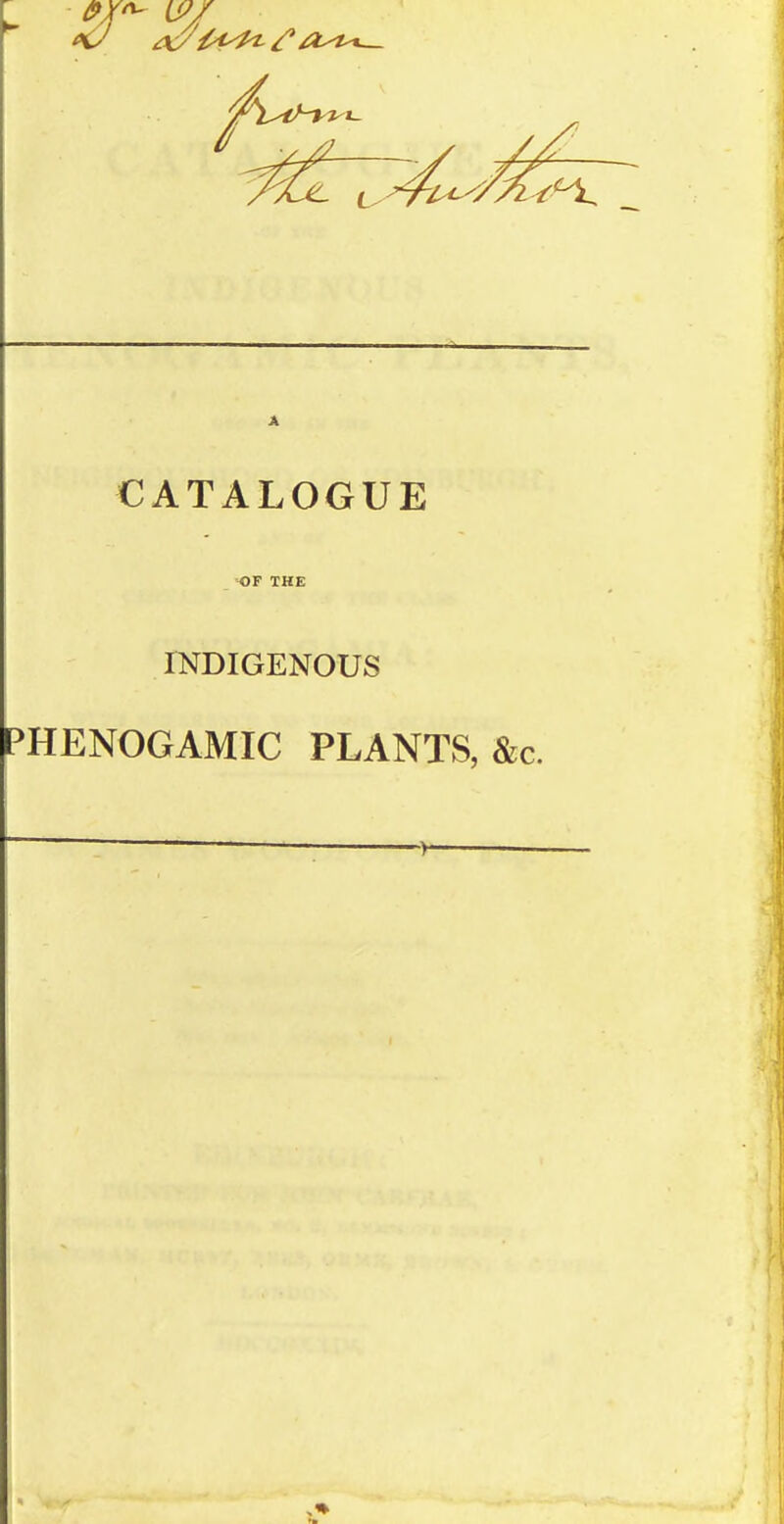 2- L CATALOGUE =OP THE INDIGENOUS PHENOGAMIC PLANTS, &c.