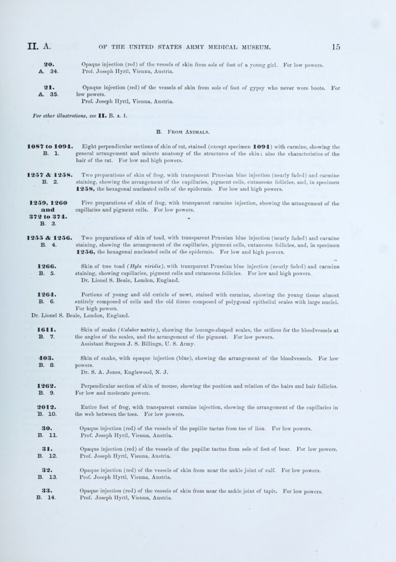 20. Opaque injection (red) of the vessels of skin from sole of foot of a young girl. For low powers. A. 34. Prof. Joseph Hyrtl, Vienna, Austria. 21. Opaque injection (red) of the vessels of skin from sole of foot of gypsy who never wore boots. For A. 35. low powers. Prof. Joseph Hyrtl, Vienna, Austria. For other illustrations, see II. B. A. 1. B. From Animals. 1087 to 1094. Eight perpendicular sections of skin of rat, stained (except specimen 1094) with carmine, showing the B. 1. general arrangement and minute anatomy of the. structures of the skin; also the characteristics of the hair of the rat. For low and high powers. 1257 & 1258. Two preparations of skin of frog, with transparent Prussian blue injection (nearly faded) and carmine B. 2. staining, showing the arrangement of the capillaries, pigment cells, cutaneous follicles, and, in specimen 1258, the hexagonal nucleated cells of the epidermis. For low and high powers. 1259, 1260 Five preparations of skin of frog, with transparent carmine injection, showing the arrangement of the illld capillaries and pigment cells. For low powers. 372 to 374. B. 3. 1255 & 1256. Two preparations of skin of toad, with transparent Prussian blue injection (nearly faded) and carmine B. 4. staining, showing the arrangement of the capillaries, pigment cells, cutaneous follicles, and, in specimen 1256, the hexagonal nucleated cells of the epidermis. For low and high powers. 1266. Skin of tree toad (Hyla viridis), with transparent Prussian blue injection (nearly faded) and carmine B. 5. staining, showing capillaries, pigment cells and cutaneous follicles. For low and high powers. Dr. Lionel S. Beale, London, England. 1264. Portions of young and old cuticle of newt, stained with carmine, showing the young tissue almost B. 6. entirely composed of cells and the old tissue composed of polygonal epithelial scales with large nuclei. For high powers. Dr. Lionel S. Beale, London, England. 1611. Skin of snake (Coluber natrix), showing the lozenge-shaped scales, the orifices for the bloodvessels at B. 7. the angles of the scales, and the arrangement of the pigment. For low powers. Assistant Surgeon J. S. Billings, U. S. Army. 403. Skin of snake, with opaque injection (blue), showing the arrangement of the bloodvessels. For low B. 8. powers. Dr. S. A. Jones, Englewood, N. J. 1262. Perpendicular section of skin of mouse, showing the position and relation of the hairs and hair follicles. B. 9. For low and moderate powers. 2012. Entire foot of frog, with transparent carmine injection, showing the arrangement of the capillaries in B. 10. the web between the toes. For low powers. 30. Opaque injection (red) of the vessels of the papillae tactus from toe of lion. For low powers. B. 11. Prof. Joseph Hyrtl, Vienna, Austria. 31. Opaque injection (red) of the vessels of the papillae tactus from sole of foot of bear. For low powers. B. 12. Prof. Joseph Hyrtl, Vienna, Austria. 32. Opaque injection (red) of the vessels of skin from near the ankle joint of calf. For low powers. B. 13. Prof. Joseph Hyrtl, Vienna, Austria. 33. Opaque injection (red) of the vessels of skin from near the ankle joint of tapir. For low powers. B. 14. Prof. Joseph Hyrtl, Vienna, Austria.