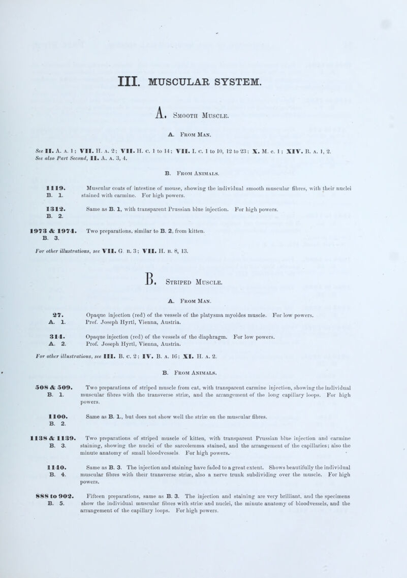 A. s Smooth Muscle. A. From Man. See II. A. a. 1 ; VII. H. A. 2; VII. H. C. 1 to 14; VII. I. C. 1 to 10, 12 to 23; X. M. c. 1 ; XIV. B. a. 1, 2. Sec also Part Second, II. A. A. 3, 4. B. From Animals. 1119. Muscular coats of intestine of mouse, showing the individual smooth muscular fibres, with their nuclei B. 1. stained with carmine. For high powers. 1312. Same as B. 1, with transparent Prussian blue injection. For high powers. B. 2. 1973 & 1974. Two preparations, similar to B. 2, from kitten. B. 3. For other illustrations, see VII. G. B. 3; VII. H. B. 8, 13. B. Striped Muscle. A. From Man. SY. Opaque injection (red) of the vessels of the platysina myoides muscle. For low powers. A. 1. Prof. Joseph Hyrtl, Vienna, Austria. 314. Opaque injection (red) of the vessels of the diaphragm. For low powers. A. 2. Prof. Joseph Hyrtl, Vienna, Austria. For other illustrations, see III. B. C. 2; IV. B. A. 16; XI. H. a. 2. B. From Animals. 508 & 509. Two preparations of striped muscle from cat, with transparent carmine injection, showing the individual B. 1. muscular fibres with the transverse striae, and the arrangement of the long capillary loops. For high powers. 1100. Same as B. 1., but does not show well the stria? on the muscular fibres. B. 2. 1138 & 1139. Two preparations of striped muscle of kitten, with transparent Prussian blue injection and carmine B. 3. staining, showing the nuclei of the sarcolemma stained, and the arrangement of the capillaries; also the minute anatomy of small bloodvessels. For high powers. 1140. Same as B. 3. The injection and staining have faded to a great extent. Shows beautifully the individual B. 4. muscular fibres with their transverse striae, also a nerve trunk subdividing over the muscle. For high powers. 888 to 902. Fifteen preparations, same as B. 3. The injection and staining are very brilliant, and the specimens B. 5. show the individual muscular fibres with striae and nuclei, the minute anatomy of bloodvessels, and the arrangement of the capillary loops. For high powers.