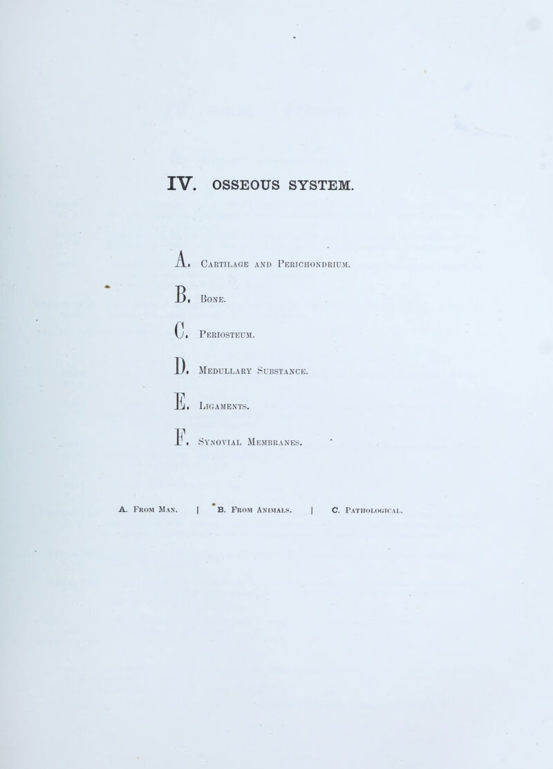 .A. Cartilage and Perichondrium. Bi Bone. Ci Periosteum. D. Medullary Substance. E, Ligaments. 1 . Synovial Membranes. A. From Man. B. From Animals. C. Pathological.
