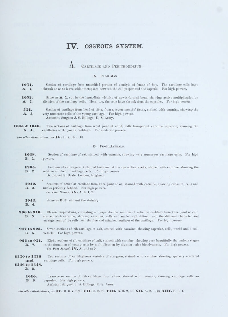 A. Cartilage and Perichondrium. A. From Man. 1051. Section of cartilage from unossified portion of condyle of femur of boy. The cartilage cells have A. 1. shrunk so as to leave wide interspaces between the cell proper and the capsule. For high powers. 1052. Same as A. 1, cut in the immediate vicinity of newly-formed bone, showing active multiplication by A. 2. division of the cartilage cells. Here, too, the cells have shrunk from the capsules. For high powers. 534. Section of cartilage from head of tibia, from a seven months' foetus, stained with carmine, showing the A. 3. very numerous cells of the young cartilage. For high powers. Assistant Surgeon J. S. Billings, U. S. Army. 1045 & 1040. Two sections of cartilage from wrist joint of child, with transparent carmine injection, showing the A. 4. capillaries of the young cartilage. For moderate powers. For other illustrations, see IV. B. A. 16 to 18. B. From . Animals. 1048. Section of cartilage of cat, stained with carmine, showing very numerous cartilage cells. For high B. 1. powers. 1265. Sections of cartilage of kitten, at birth and at the age of five weeks, stained with carmine, showing the B. 2. relative number of cartilage cells. For high powers. Dr. Lionel S. Beale, London, England. 1042. Sections of articular cartilage from knee joint of ox, stained with carmine, showing capsules, cells and B. 3. nuclei perfectly defined. For high powers. See Part Second, IV. A. B. I, 2. 1043. Same as B. 3, without the staining. B. 4. 906 to 916. Eleven preparations, consisting of perpendicular sections of articular cartilage from knee joint of calt, B. 5. stained with carmine, showing capsules, cells and nuclei well defined, and the different character and arrangement of the cells near the free and attached surfaces of the cartilage. For high powers. 91 *i to 923. Seven sections of rib cartilage of calf, stained with carmine, showing capsules, cells, nuclei and blood- B. 6. vessels. For high powers. 924 to 931. Eight sections of rib cartilage of calf, stained with carmine, showing very beautifully the various stages B. 7. in the formation of young cells by multiplication by division ; also bloodvessels. For high powers. See Part Second, IV. A. B. 3 to 9. 1330 to 1336 Ten sections of cartilaginous vertebra of sturgeon, stained with carmine, showing sparsely scattered and cartilage cells. For high powers. 1346 to 1348. B. 8. 1010. Transverse section of rib cartilage from kitten, stained with carmine, showing cartilage cells an B. 9. capsules. For high powers. Assistant Surgeon J. S. Billings, U. S. Army.