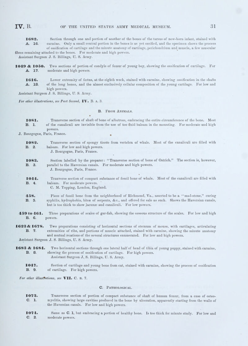1682. Section through one and portion of another of the bones of the tarsus of new-born infant, stained with A. 16. carmine. Only a small central portion in the bones is as yet ossified, and the specimen shows the process of ossification of cartilage and the minute anatomy of cartilage, perichondrium and muscle, a few muscular fibres remaining attached to the bones. For moderate and high powers. Assistant Surgeon J. S. Billings, U. S. Army. 1049 & 1050. Two sections of portion of condyle of femur of young boy, showing the ossification of cartilage For A. 17. moderate and high powers. 1610. Lower extremity of foetus, at the eighth week, stained with carmine, showing ossification in the shafts A. 18. of the long bones, and the almost exclusively cellular composition of the youug cartilage. For low and high powers. Assistant Surgeon J. S. Billings, U. S. Army. For other illustrations, see Part Second, IV. B. A. 3. B. From Animals. 1081. Transverse section of shaft of bone of albatross, embracing the entire circumference of the bone. Most B. 1. of the canaliculi are invisible from the use of too fluid balsam in the mounting. For moderate and high powers. J. Bourgogce, Paris, France. # 1082. Transverse section of spongy tissue from vertebra of whale. Most of the canaliculi are filled with B. 2. balsam. For low and high powers. J. Bourgogne, Paris, France. 1083. Section labelled by the preparer: Transverse section of bone of Ostrich. The section is, however, B. 3. parallel to the Haversian canals. For moderate and high powers. J. Bourgogne, Paris, France. 1044. Tranverse section of compact substance of fossil bone of whale. Most of the canaliculi are filled with B. 4. balsam. For moderate powers. C. M. Topping, London, England. 458. Piece of fossil bone from the neighborhood of Richmond, Va., asserted to be a mad-stone, curing B. 5. syphilis, hydrophobia, bites of serpents, &c, and offered for sale as such. Shows the Haversian canals, but is too thick to show Jacunse and canaliculi. For low powers. 459 to 461. Three preparations of scales of gar-fish, showing the osseous structure of the scales. For low and high B. 6. powers. 1623 & 1678. Two preparations consisting of horizontal sections of sternum of mouse, with cartilages, articulating B. 7. extremities of ribs, and portions of muscle attached, stained with carmine, showing the minute anatomy and mutual relations of the several structures enumerated. For low and high powers. Assistant Surgeon J. S. Billings, U. S. Army. 1683 & 1684. Two horizontal sections through one lateral half of head of tibia of young puppy, stained with carmine, B. 8. showing the process of ossification of cartilage. For high powers. Assistant Surgeon J. S. Billings, U. S. Army. 1047. Section of cartilage and young bone from cat, stained with carmine, showing the process of ossification B. 9. of cartilage. For high powers. For other illustrations, sec VII. C. is. 7. C. Pathological. 1073. Transverse section of portion of compact substance of shaft of human femur, from a case of osteo- C. 1. myelitis, showing large cavities produced in the bone by ulceration, apparently starting from the walls of the Haversian canals. For low and high powers. 1074. C. 2. Same as C. 1, but embracing a portion of healthy bone. Is too thick for minute study. For low and moderate powers.