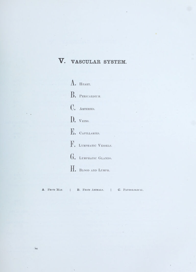 A. Heart. B, Pericardium. C» A RTERIES. D, Veins. E, Capillaries. F, Lymphatic Vessels. P Ui Lymphatic Glands. Hi Blood and Lymph. A. From Man | B. From Animals. | C. Pathological. 5a