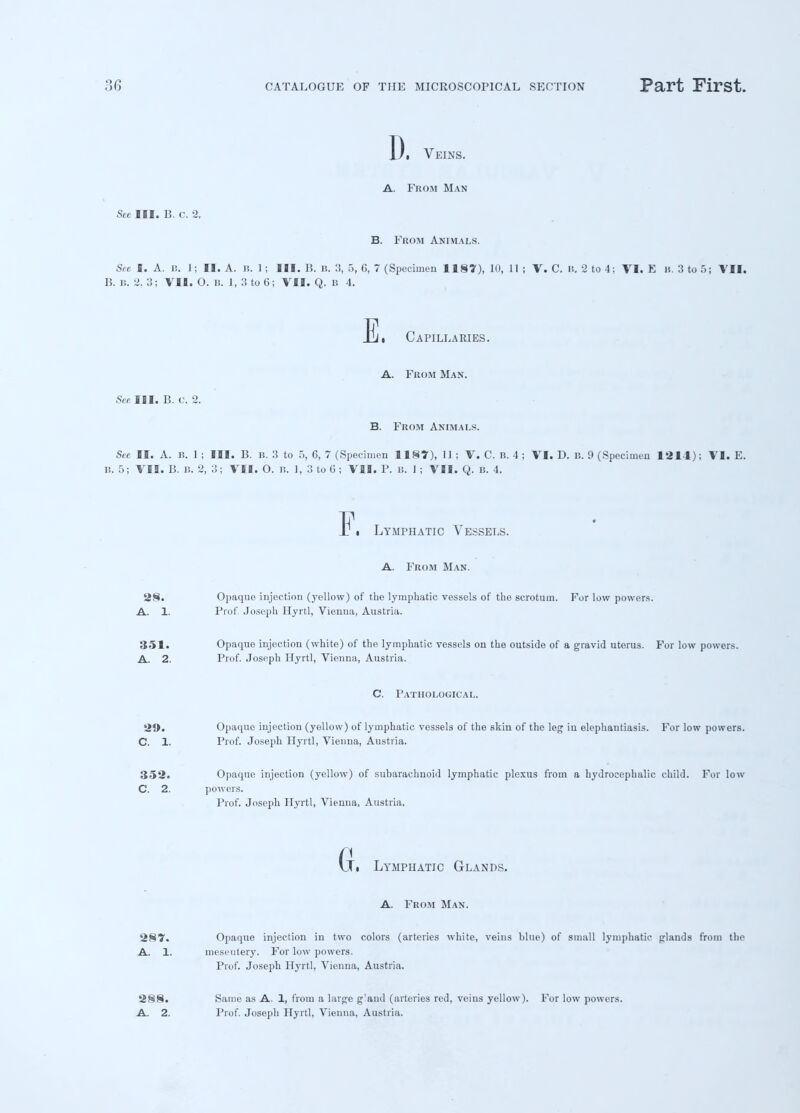 I). Veins. A. From Man See III. B. c. 2. B. From Animals. See I. A. B. 1; II. A. B. 1 ; III. B. B. 3, 5, 6, 7 (Specimen 1187), 10, 11 ; V. C. II, 2 to 4; VI. E B. 3 to 5; VII, B. B. 2. 3; VII. 0. B. 1, 3 to 6; VII. Q. b 4. E , Capillaries. A. From Man. See III. B. C. 2. B. From Animals. See II. A. B. 1 ; III. B. B. 3 to 5, 6, 7 (Specimen 1187), 11; V. C. B. 4 ; VI. D. B. 9 (Specimen 1214); VI. E. B. 5; VII. B. B. 2, 3; VII. 0. B. 1, 3 to 6 ; VII. P. b. 1 ; VII. Q. B. 4. F. Lymphatic Vessels. A. From Man. 28. Opaque injection (yellow) of the lymphatic vessels of the scrotum. For low powers. A. 1. Prof Joseph Hyrtl, Vienna, Austria. 351. Opaque injection (white) of the lymphatic vessels on the outside of a gravid uterus. For low powers. A. 2. Prof. Joseph Hyrtl, Vienna, Austria. C. Pathological. 29. Opaque injection (yellow) of lymphatic vessels of the skin of the leg in elephantiasis. For low powers. C. 1. Prof. Joseph Hyrtl, Vienna, Austria. 352. Opaque injection (yellow) of subarachnoid lymphatic plexus from a hydrocephalic child. For low C. 2. powers. Prof. Joseph Hyrtl, Vienna, Austria. G. Lymphatic Glands. A. From Man. 287. Opaque injection in two colors (arteries white, veins blue) of small lymphatic glands from the A. 1. mesentery. For low powers. Prof. Joseph Hyrtl, Vienna, Austria. 288. A. 2. Same as A. 1, from a large g'and (arteries red, veins yellow). For low powers. Prof. Joseph Hyrtl, Vienna, Austria.